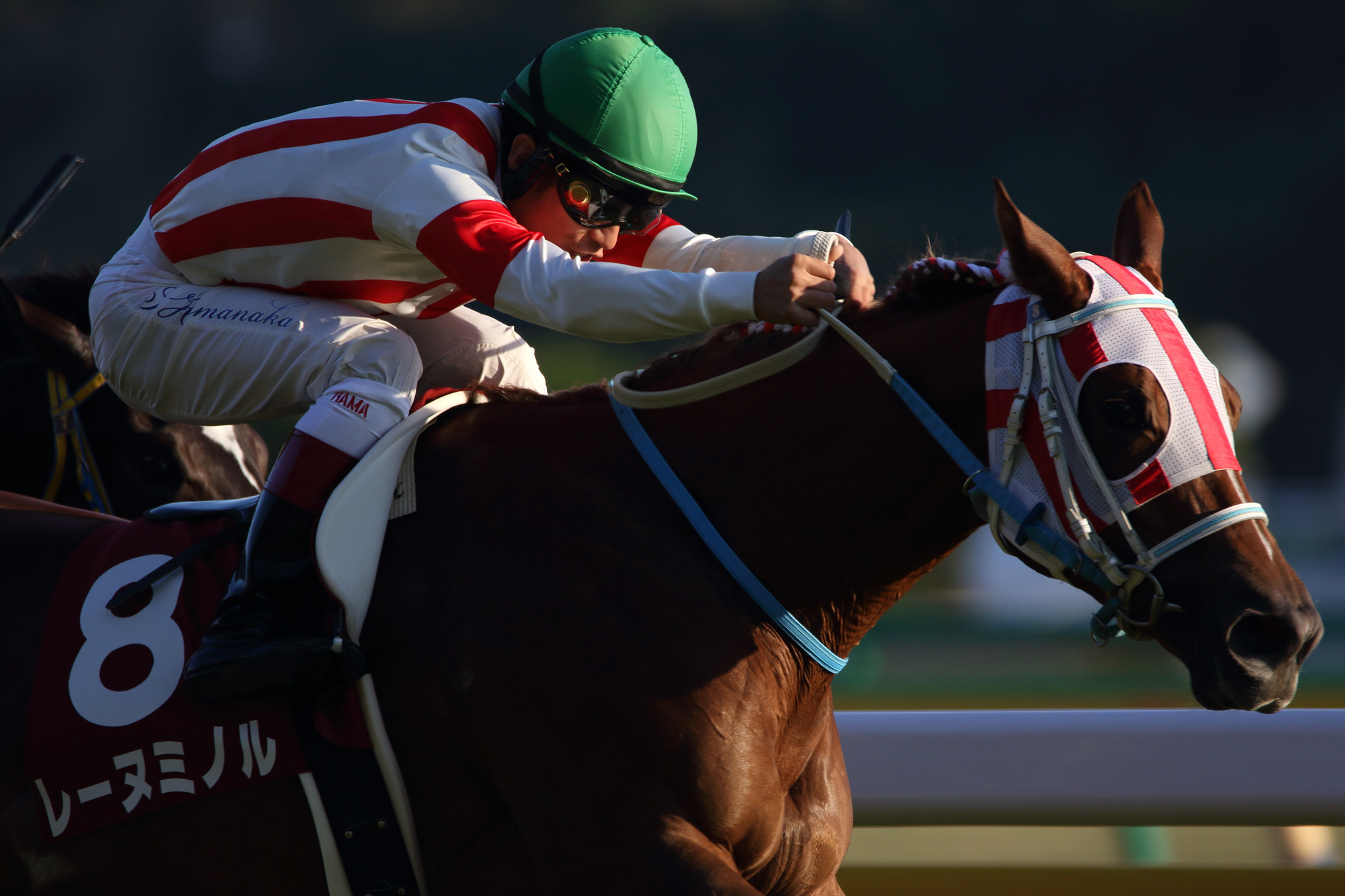 Sigma 150-600mm F5-6.3 DG OS HSM | C sample photo. Horse race photography