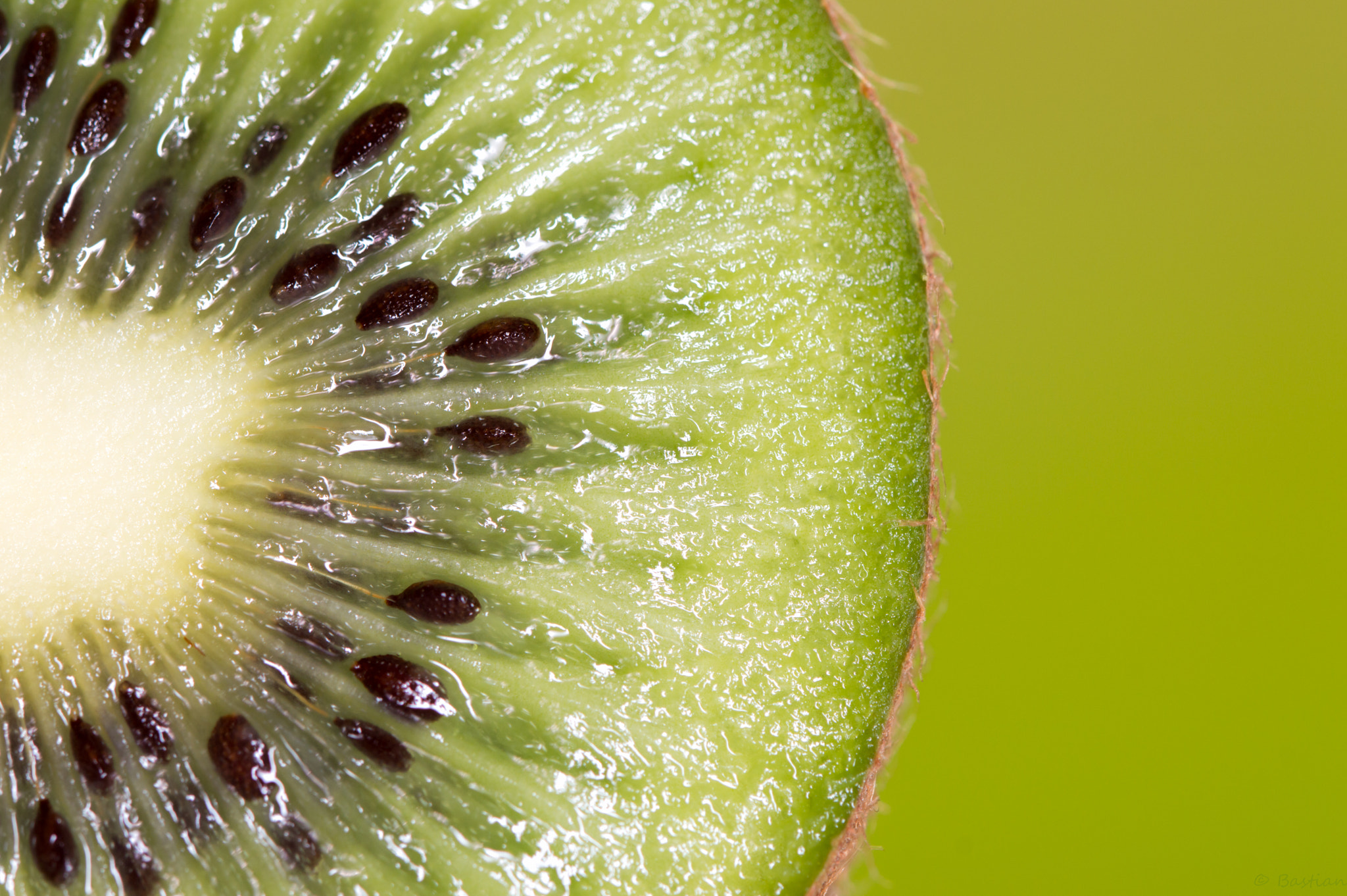 Nikon D3200 sample photo. Kiwi photography