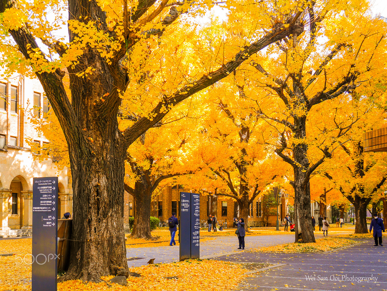 Panasonic Lumix DMC-GX7 sample photo. University of tokyo 09 photography