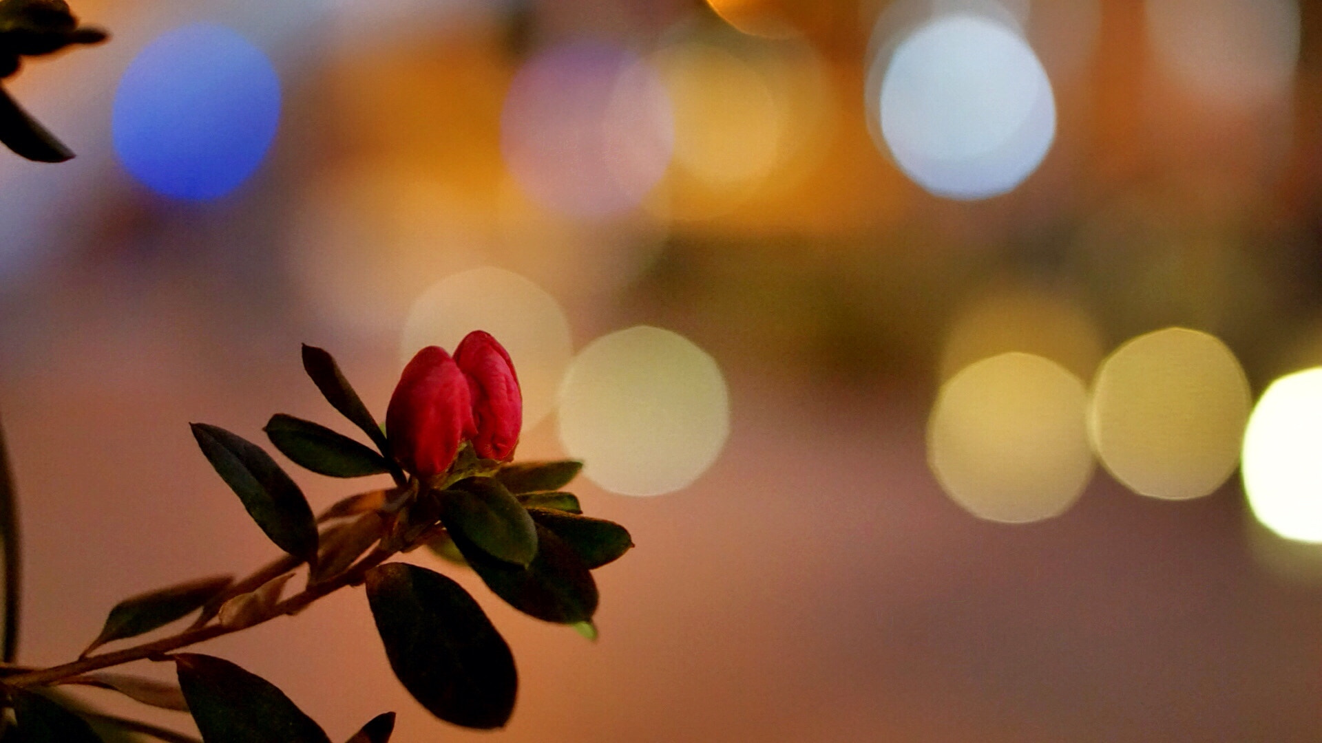 Sony E 50mm F1.8 OSS sample photo. In the evening for a walk after the spring festival, the streets are empty photography