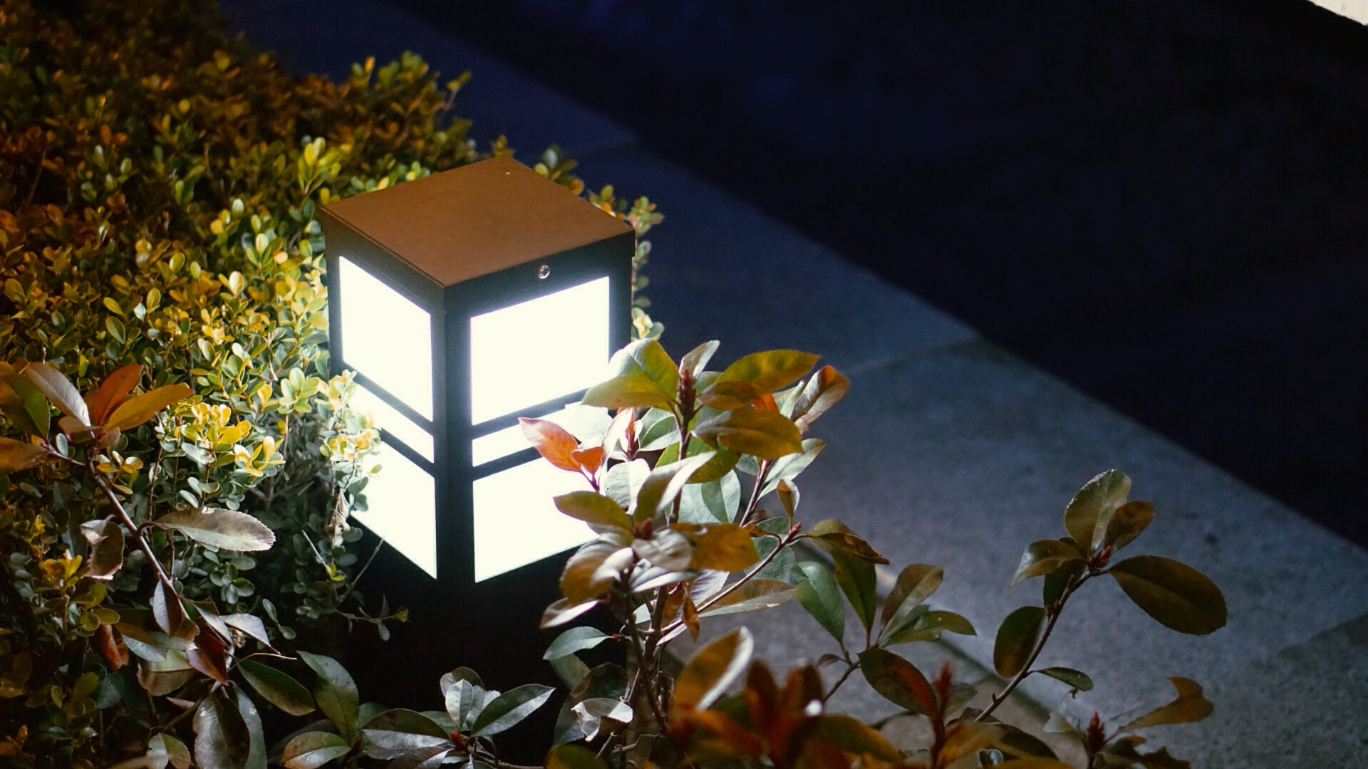 Sony E 50mm F1.8 OSS sample photo. In the evening for a walk after the spring festival, the streets are empty photography
