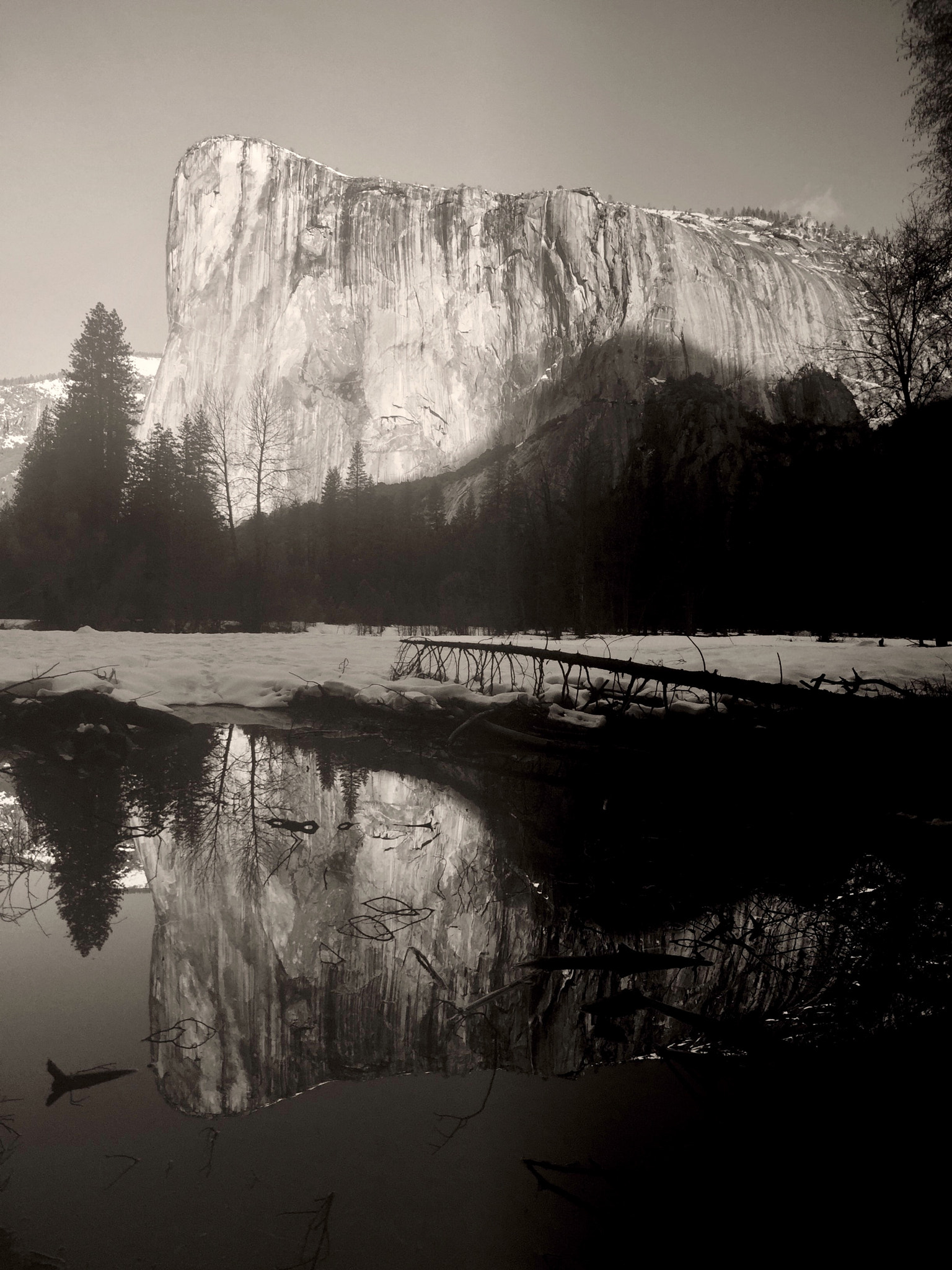 Jag.gr 645 PRO Mk III for Apple iPhone 6 sample photo. El capitan. yosemite. photography