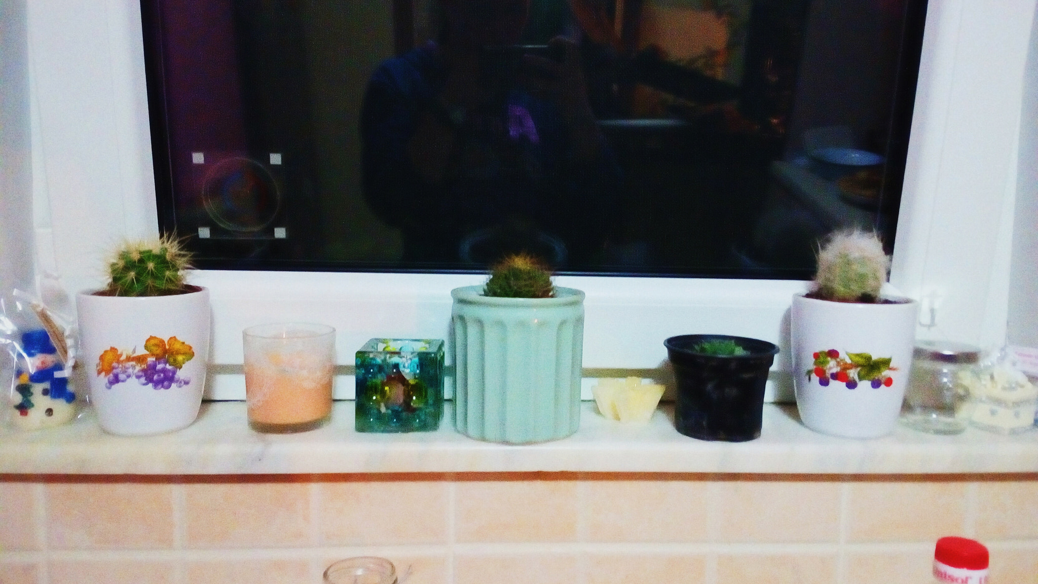 ASUS Zenfone Go (ASUS_Z00VD) sample photo. Plants and things photography