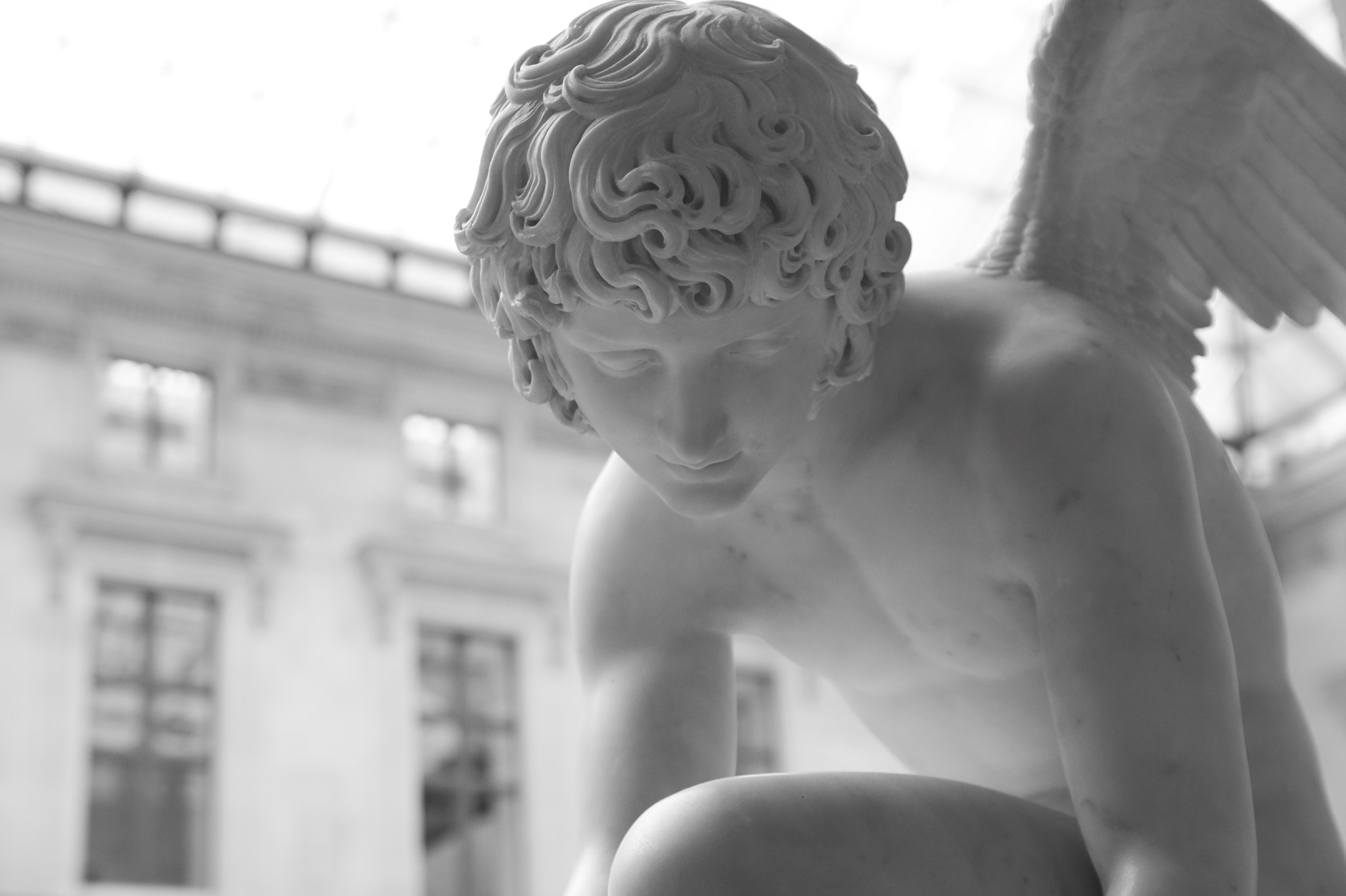 Sigma 17-50mm F2.8 EX DC OS HSM sample photo. Cupid photography