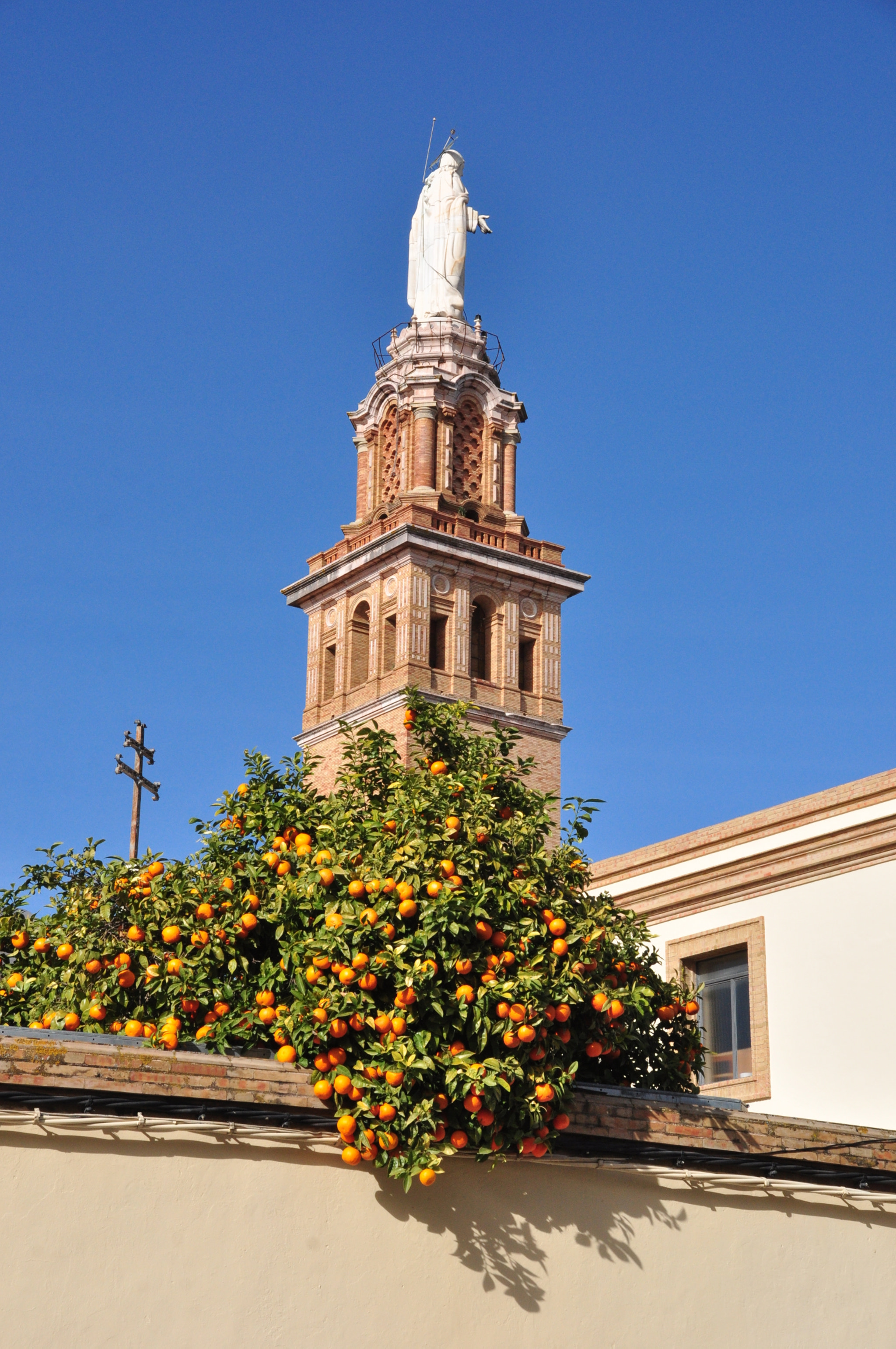 Nikon D90 + Sigma 18-200mm F3.5-6.3 II DC OS HSM sample photo. Torre, cruz y naranjos photography