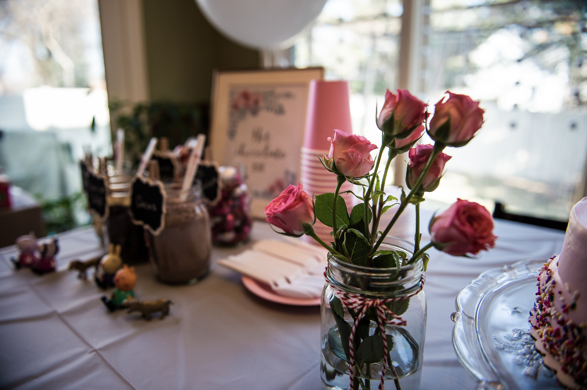 Nikon Df sample photo. Roses photography