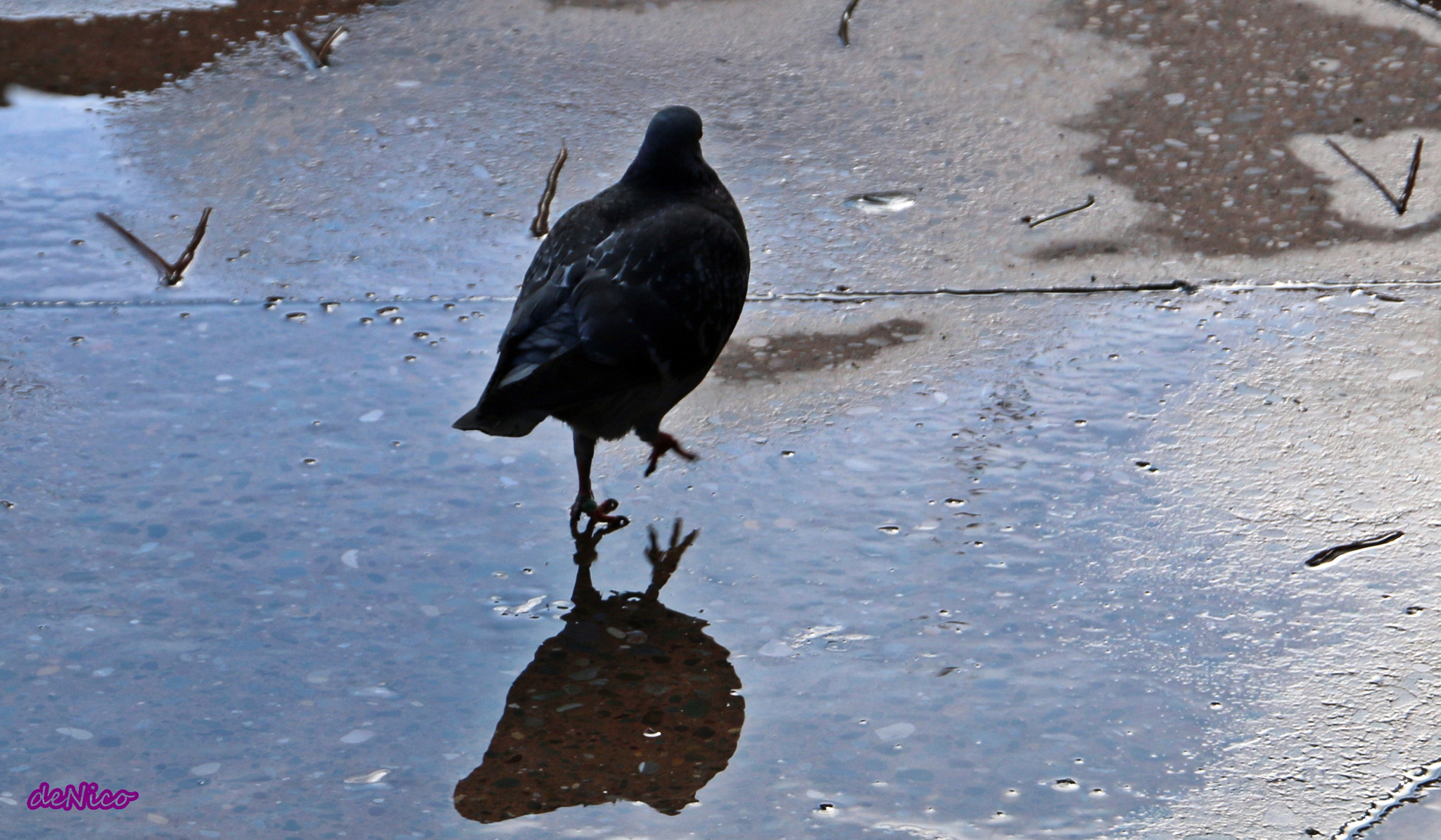 Sigma 24-105mm f/4 DG OS HSM | A sample photo. Img photography