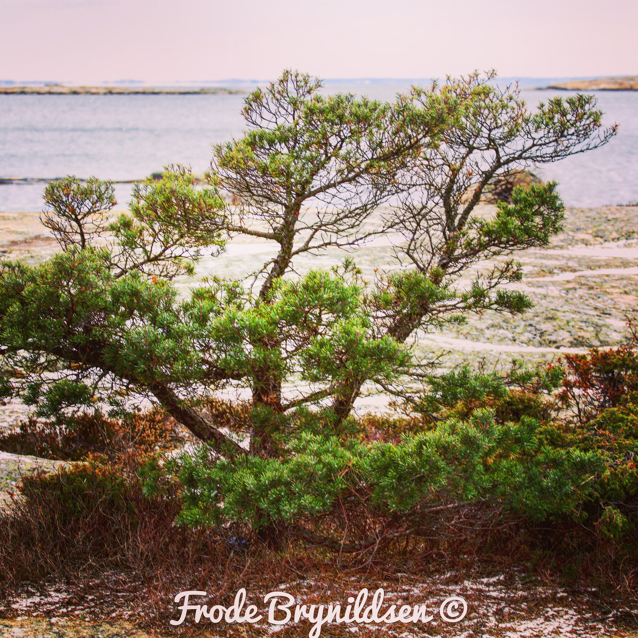 Canon EF 70-200mm F4L USM sample photo. Wintherday by the sea photography