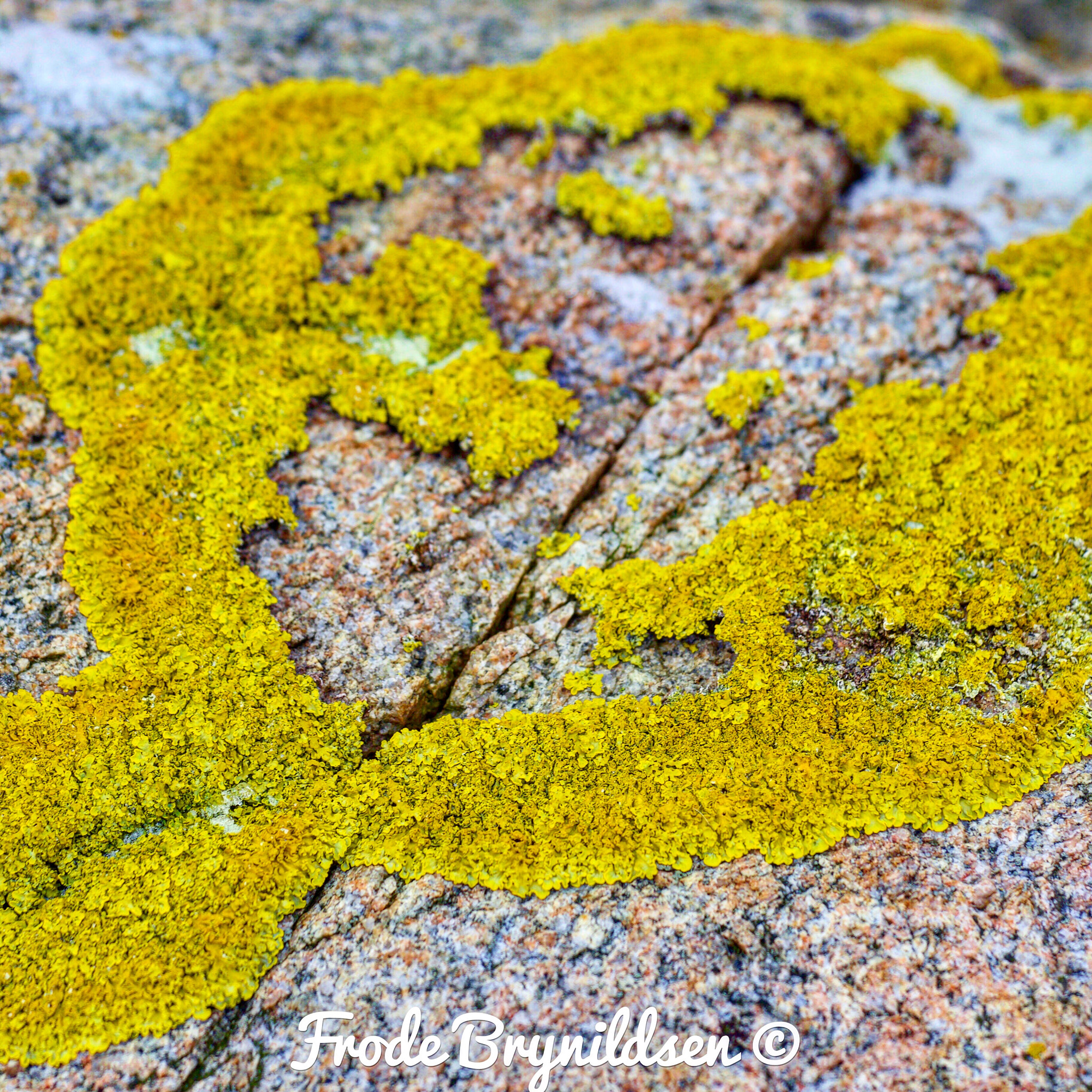 Canon EF 70-200mm F4L USM sample photo. Nature is beutiful. natures art photography