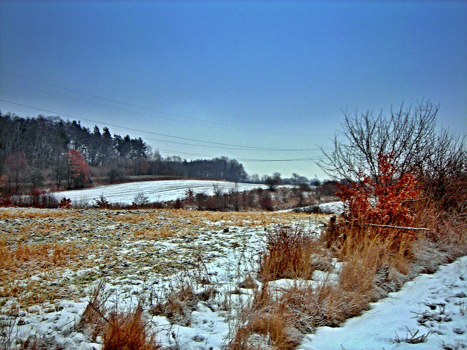 Nikon COOLPIX L3 sample photo. Winter landscape. photography