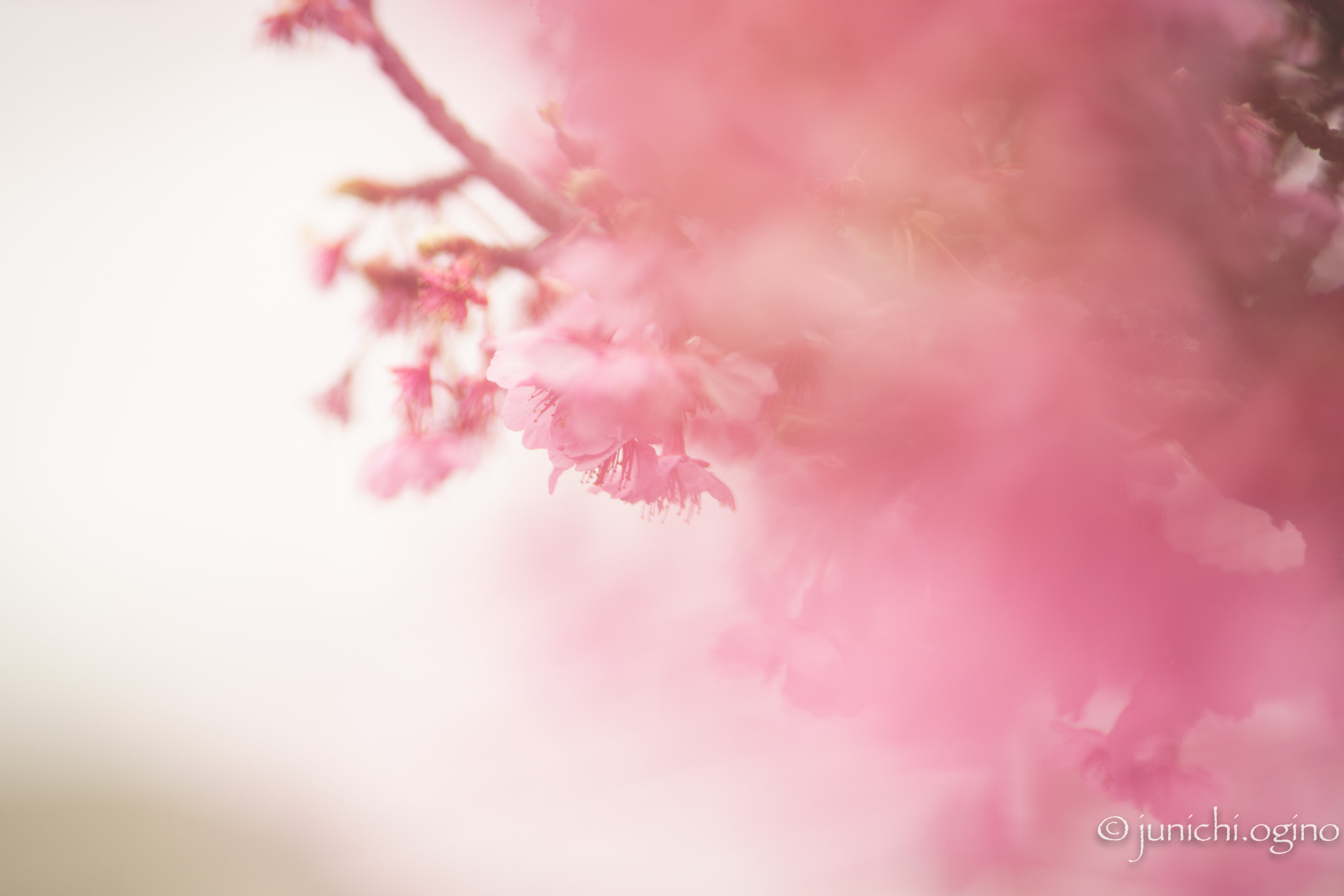 Sony a7R II + Minolta AF 200mm F2.8 HS-APO G sample photo. Be covered with photography