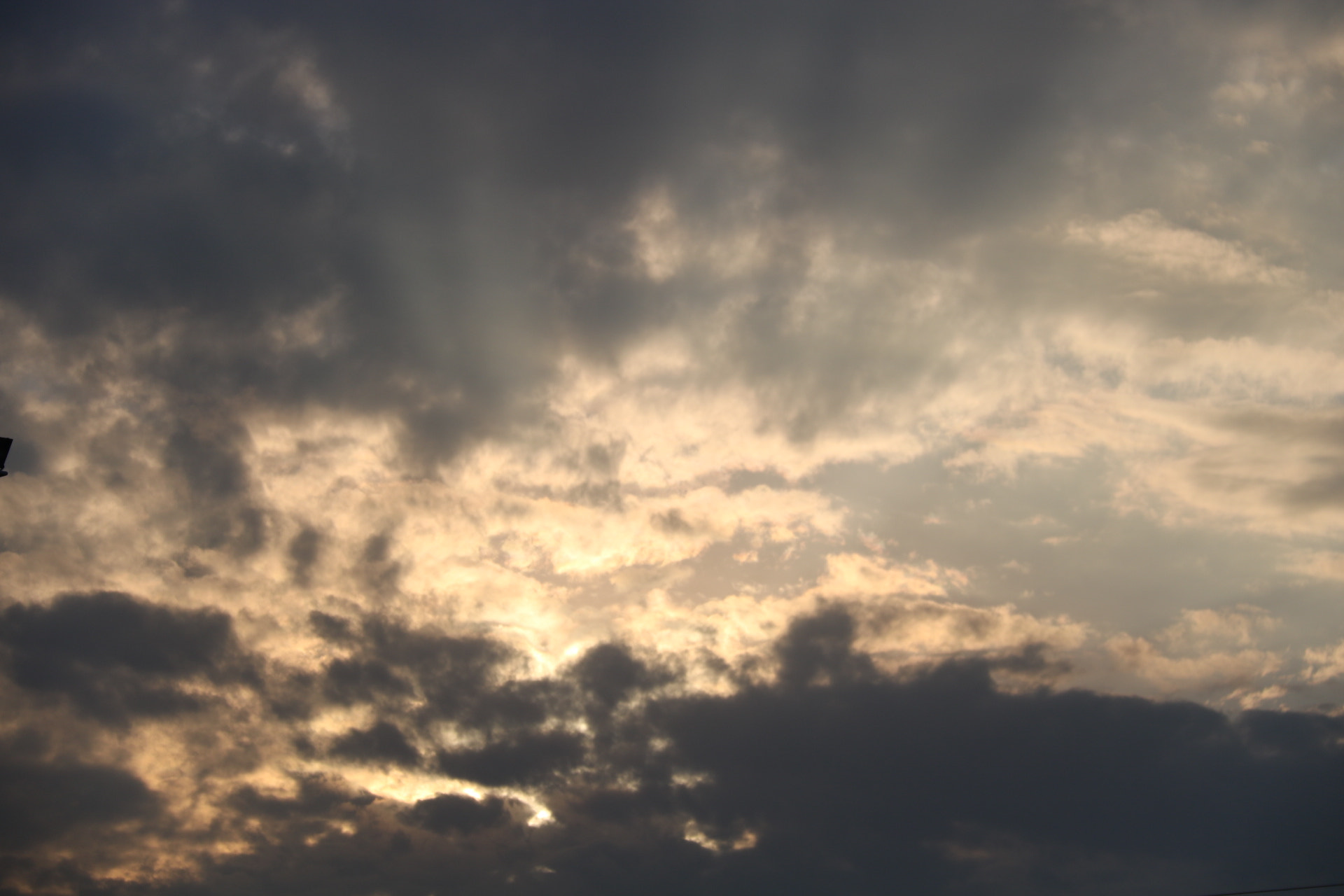 Canon EOS 760D (EOS Rebel T6s / EOS 8000D) sample photo. 娇羞 photography