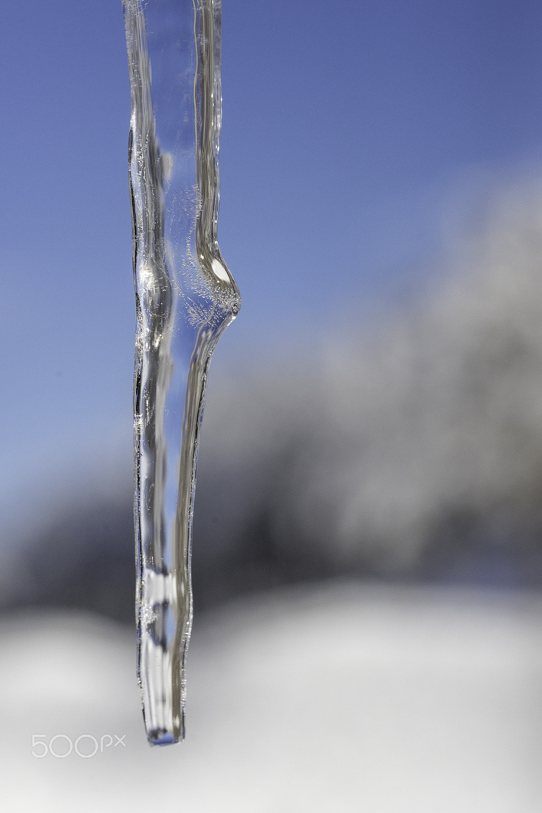 Sigma 105mm F2.8 EX DG OS HSM sample photo. Ice photography