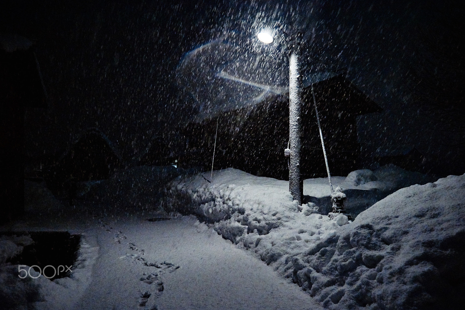 Nikon D810 sample photo. Frozen night photography