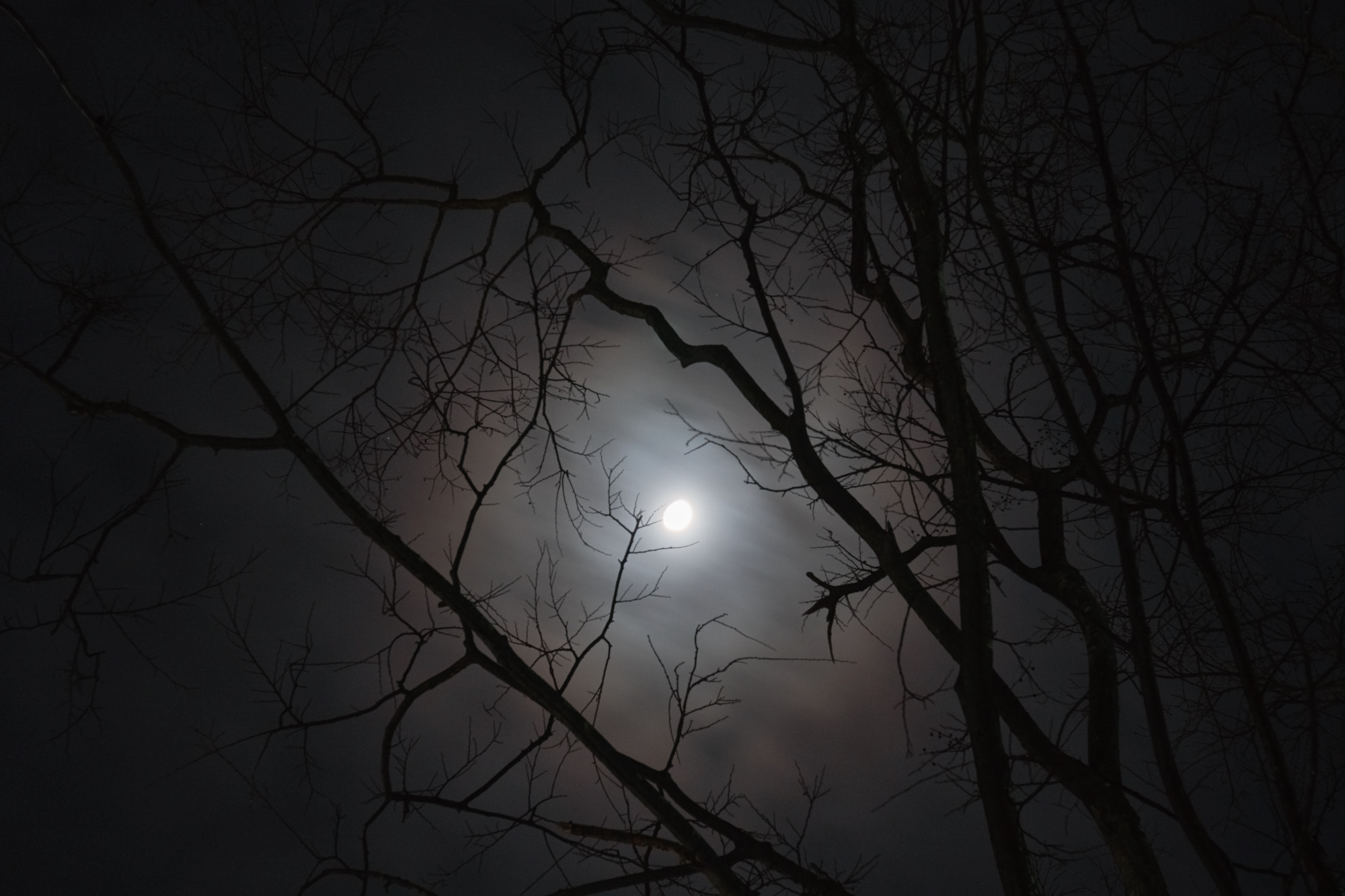 Sony a6300 sample photo. Lunar halo photography