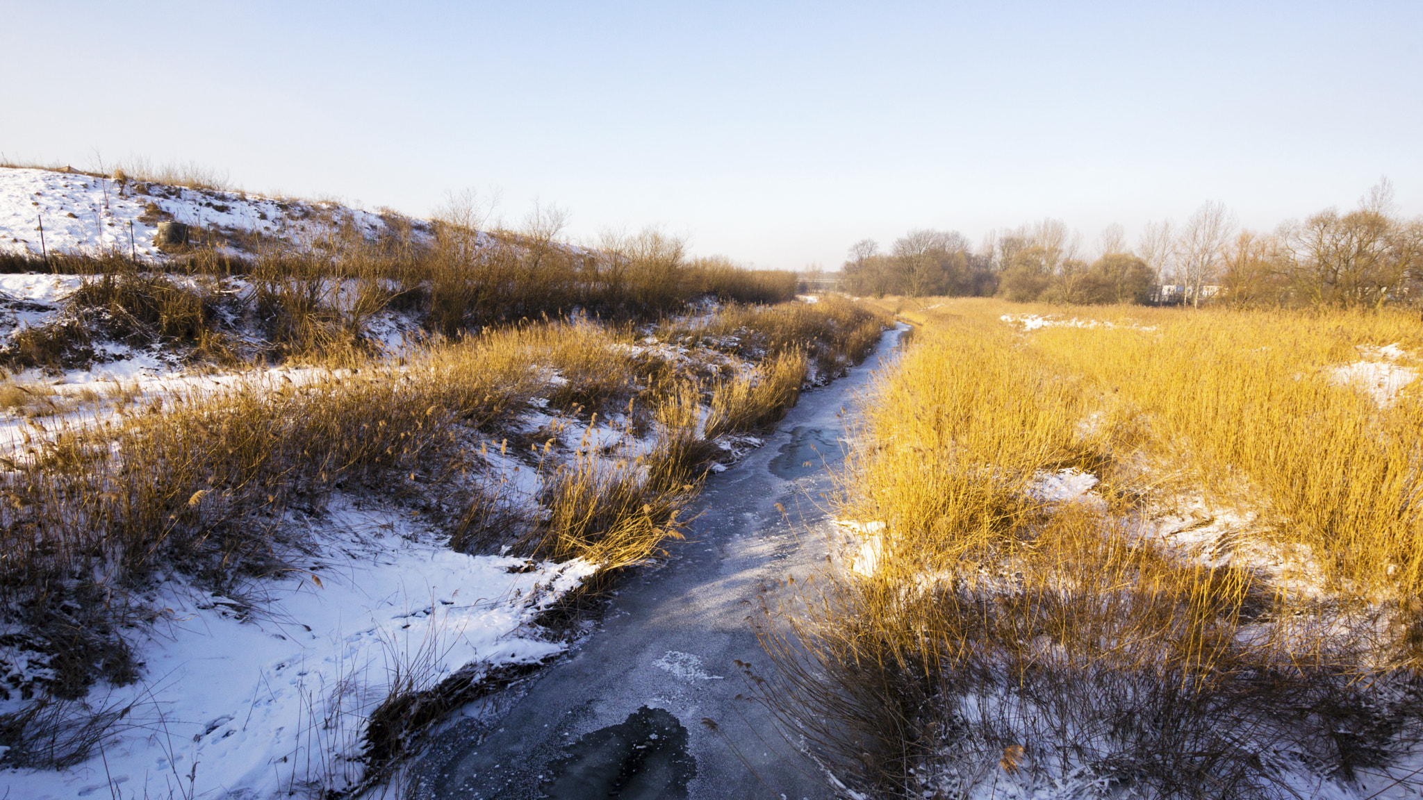 Sony SLT-A65 (SLT-A65V) sample photo. Sunny winter day photography