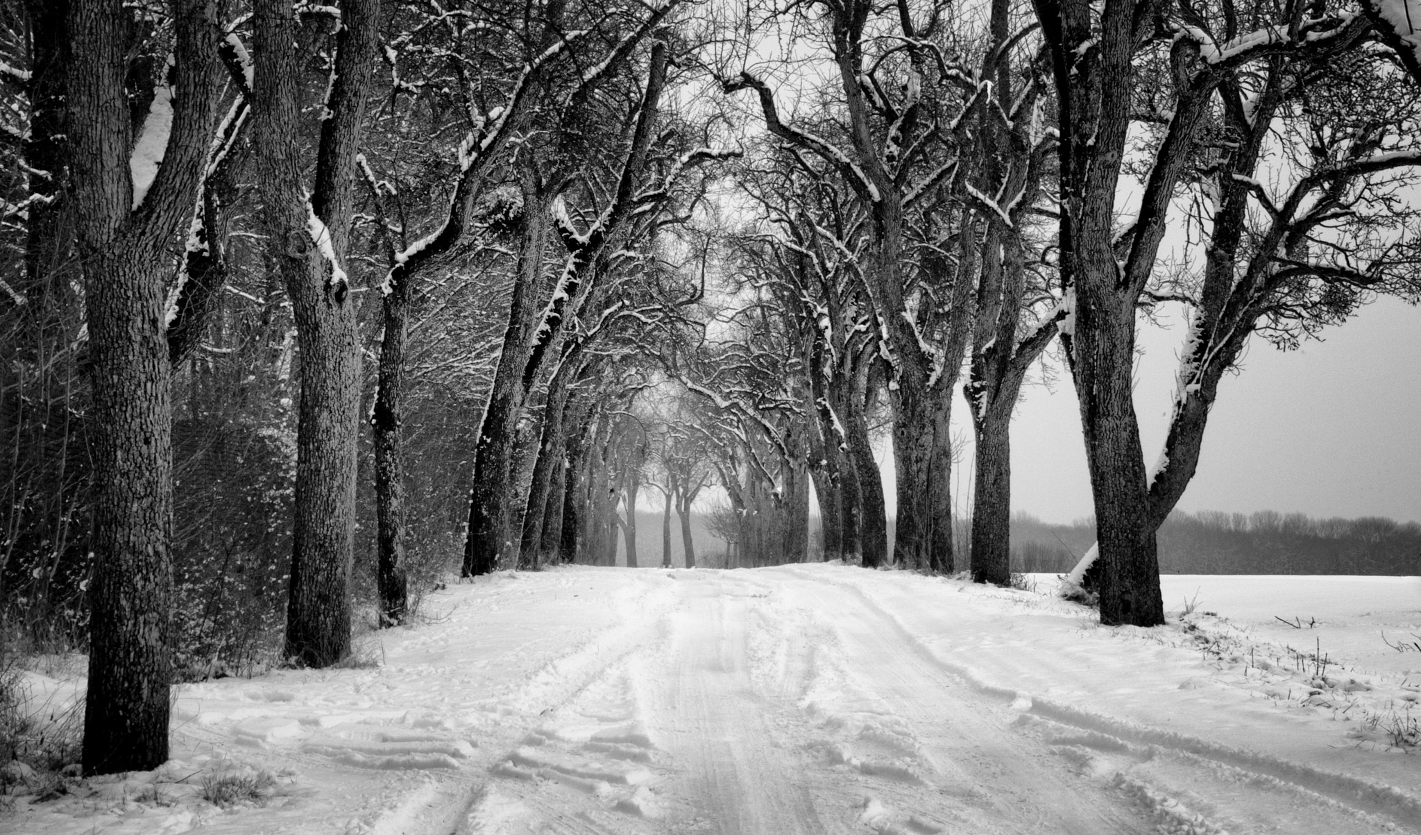 Nikon D3S sample photo. ... winterscene photography