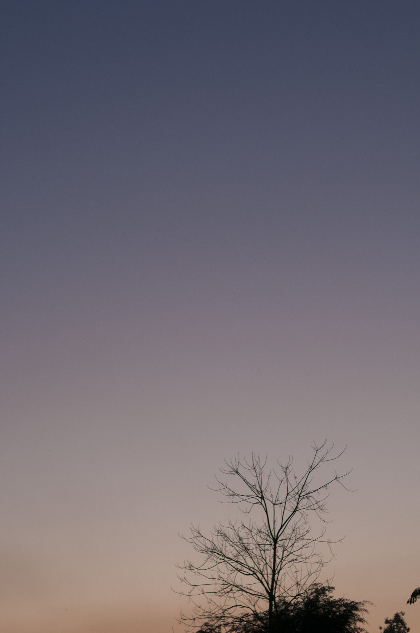 Nikon D300 + Nikon AF-S Nikkor 50mm F1.8G sample photo. Sunset photography