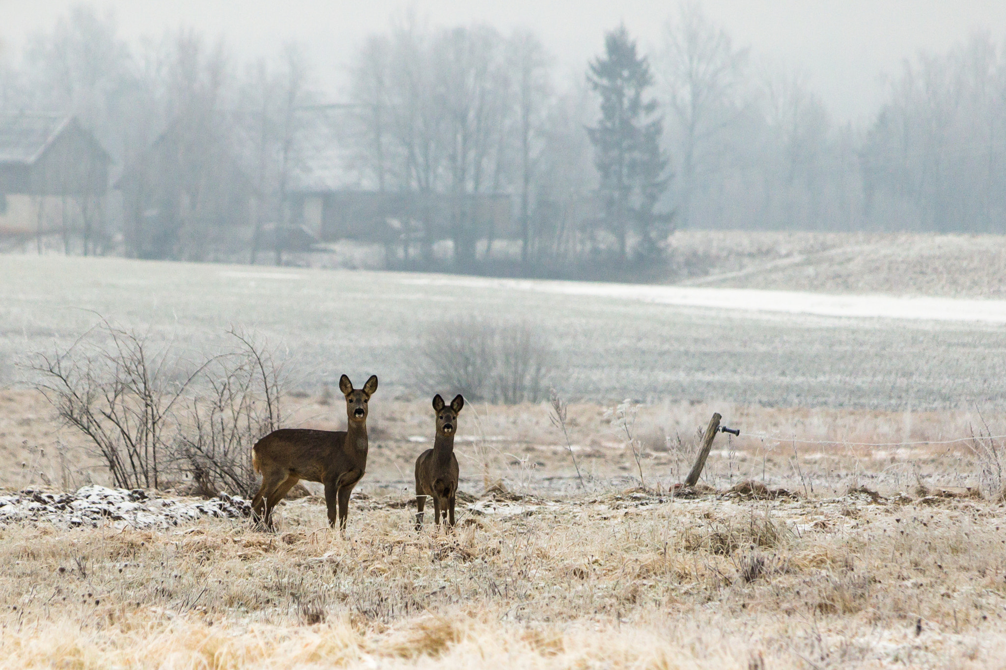 Canon EF-S 55-250mm F4-5.6 IS STM sample photo. Winters landscape photography