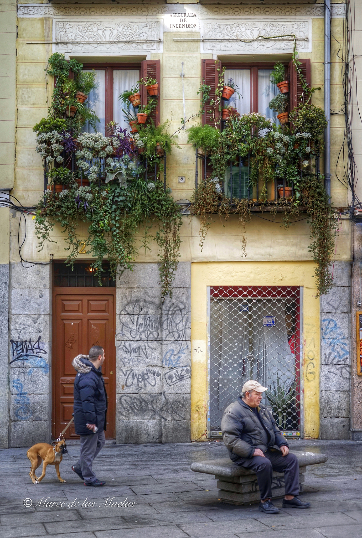 Sony FE 24-240mm F3.5-6.3 OSS sample photo. Barrio de malasaña  madrid  spain. photography