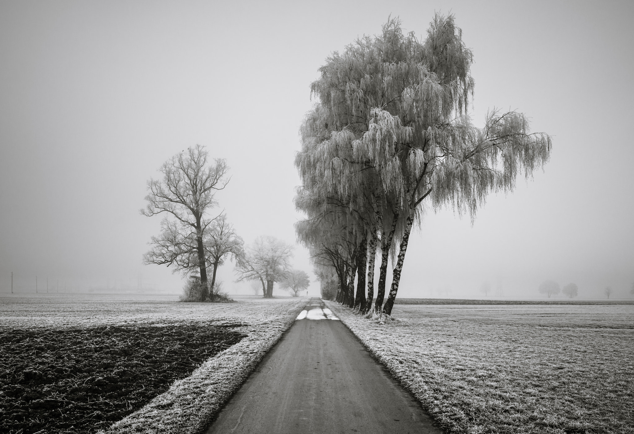 Pentax K-3 II sample photo. Bavaria freezes photography