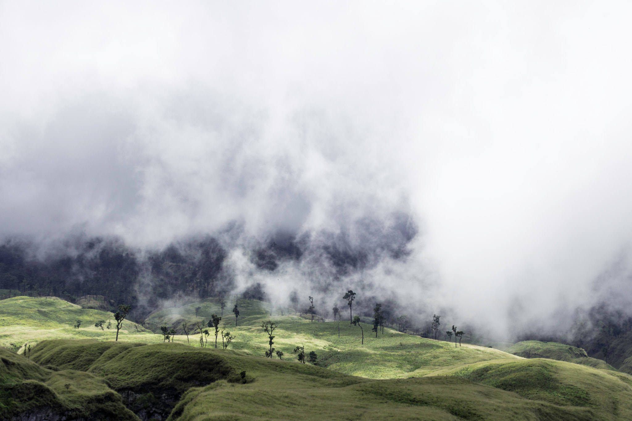 Sigma 18-250mm F3.5-6.3 DC OS HSM sample photo. Rinjani photography