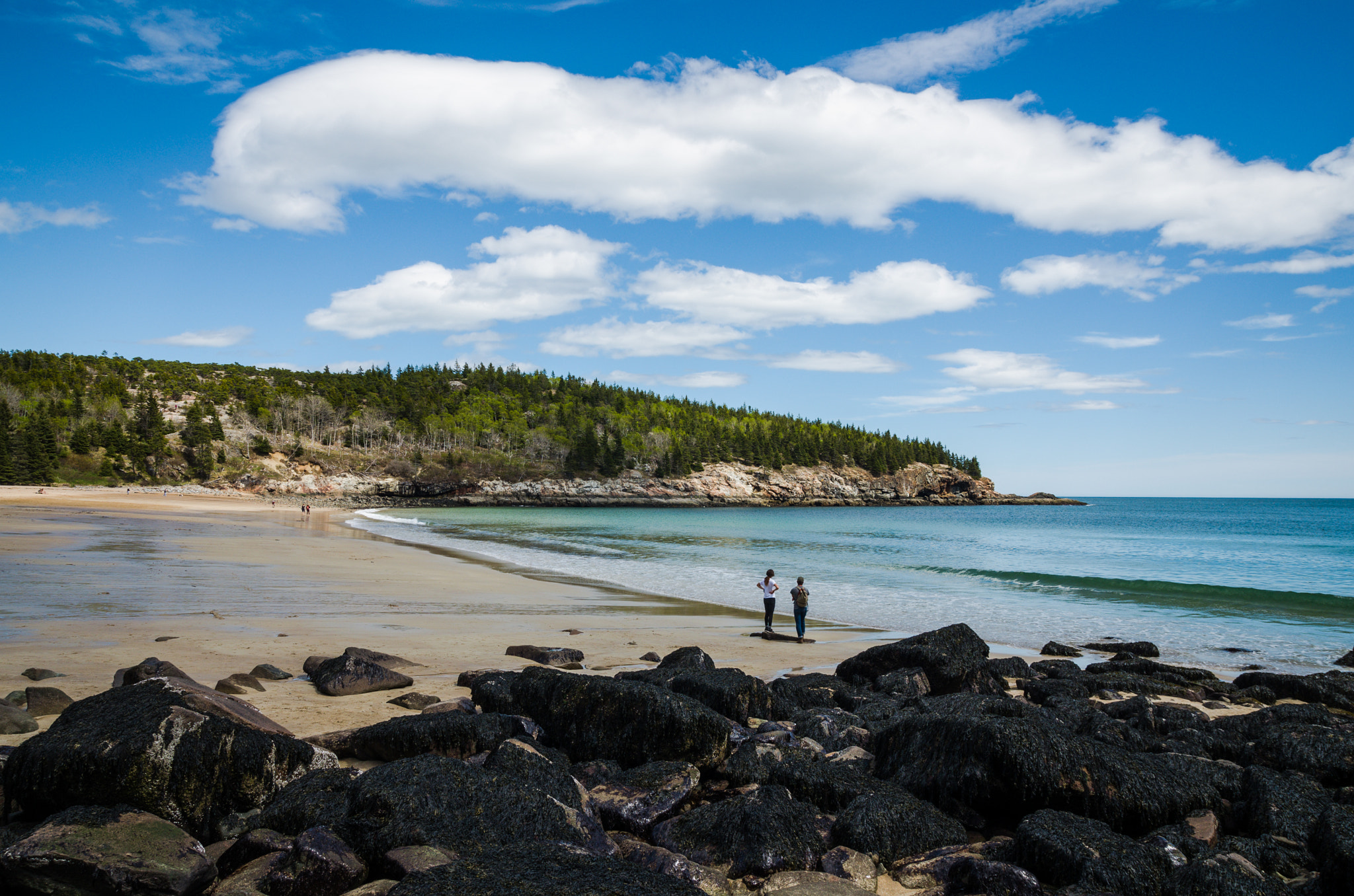 Pentax K-5 IIs sample photo. Acadia national park sandy beach photography