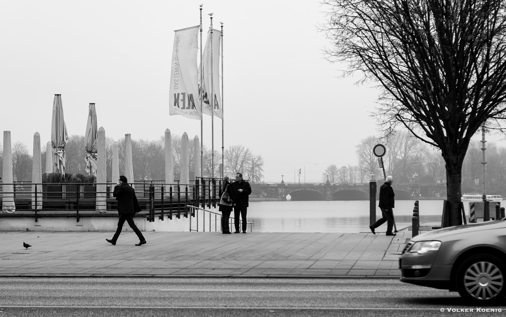 Pentax smc DA* 16-50mm F2.8 ED AL (IF) SDM sample photo. Hamburg alster photography