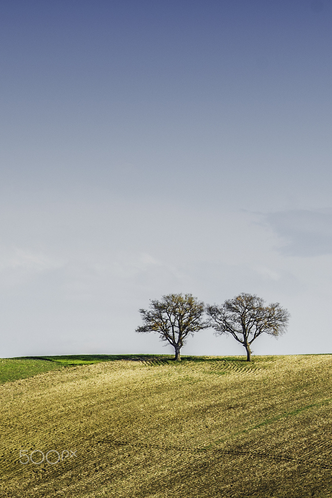 Nikon AF-S Nikkor 70-200mm F4G ED VR sample photo