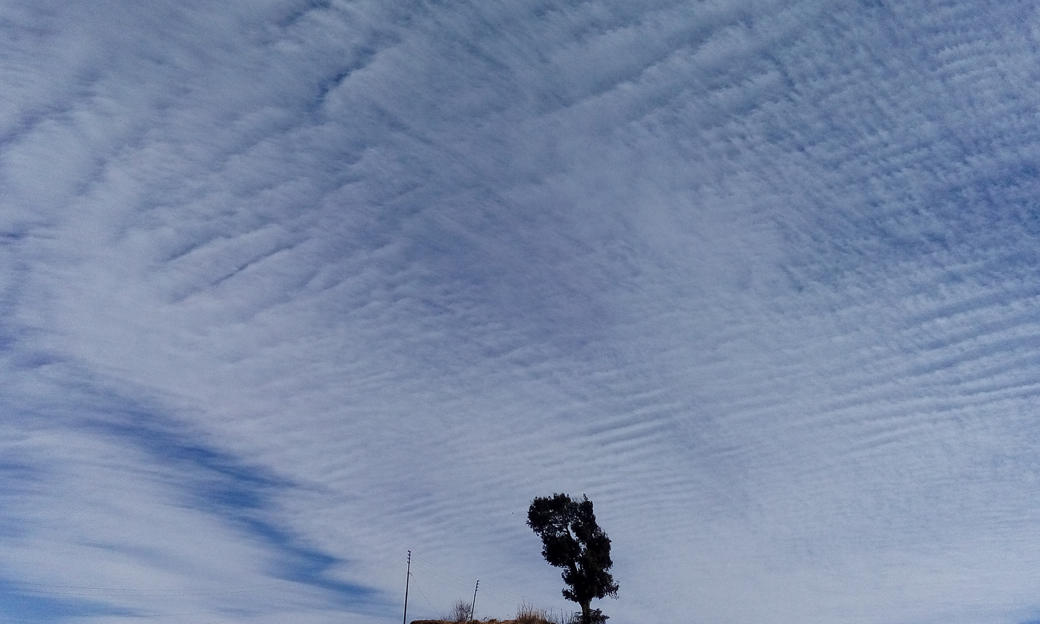 HTC DESIRE 626G+ DUAL SIM sample photo. Clouds & the tree.jpg photography