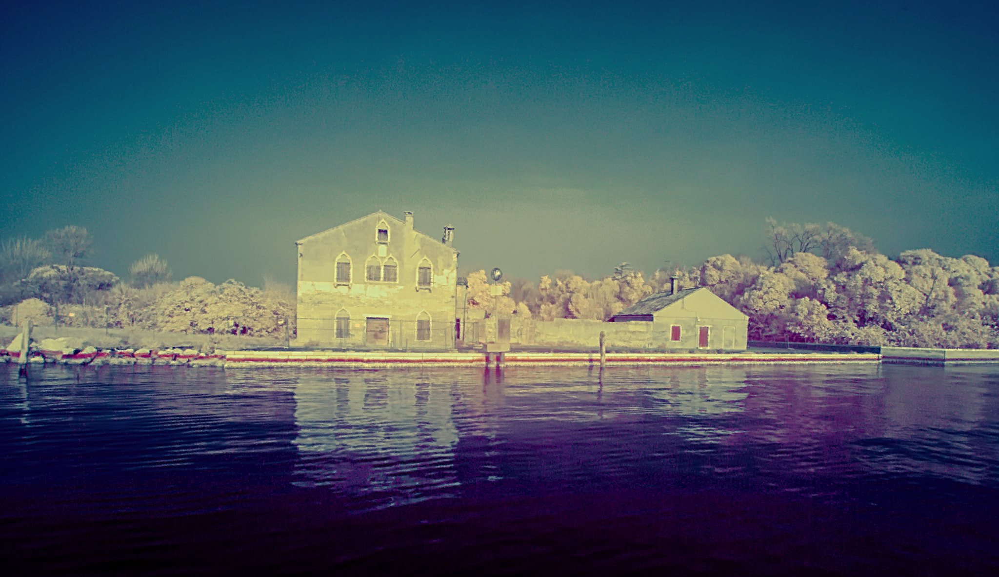 Nikon D80 sample photo. White and blu ir light photography