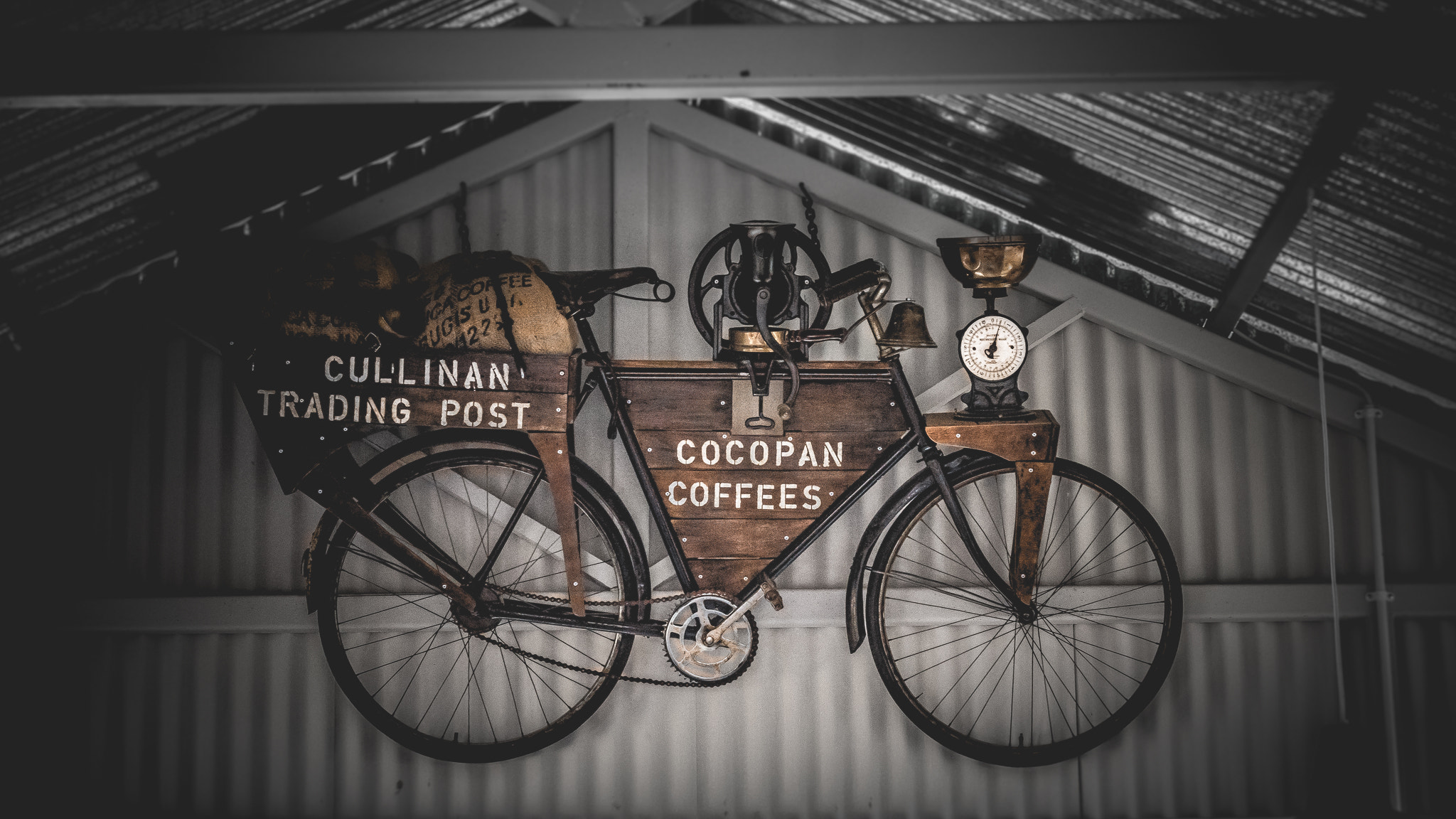 Nikon D5500 sample photo. Coco bike photography