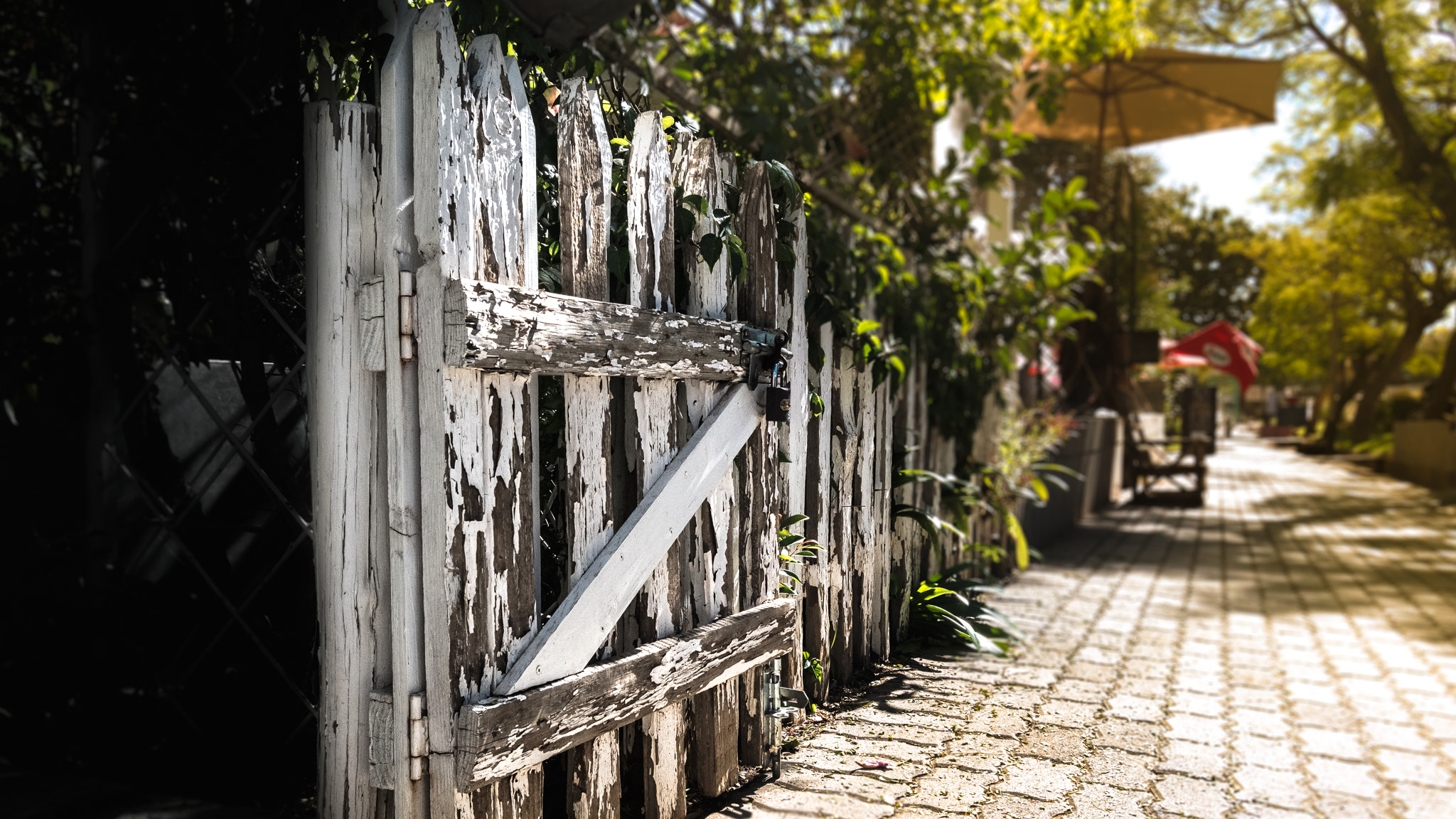 Nikon D5500 sample photo. Sunny fence photography