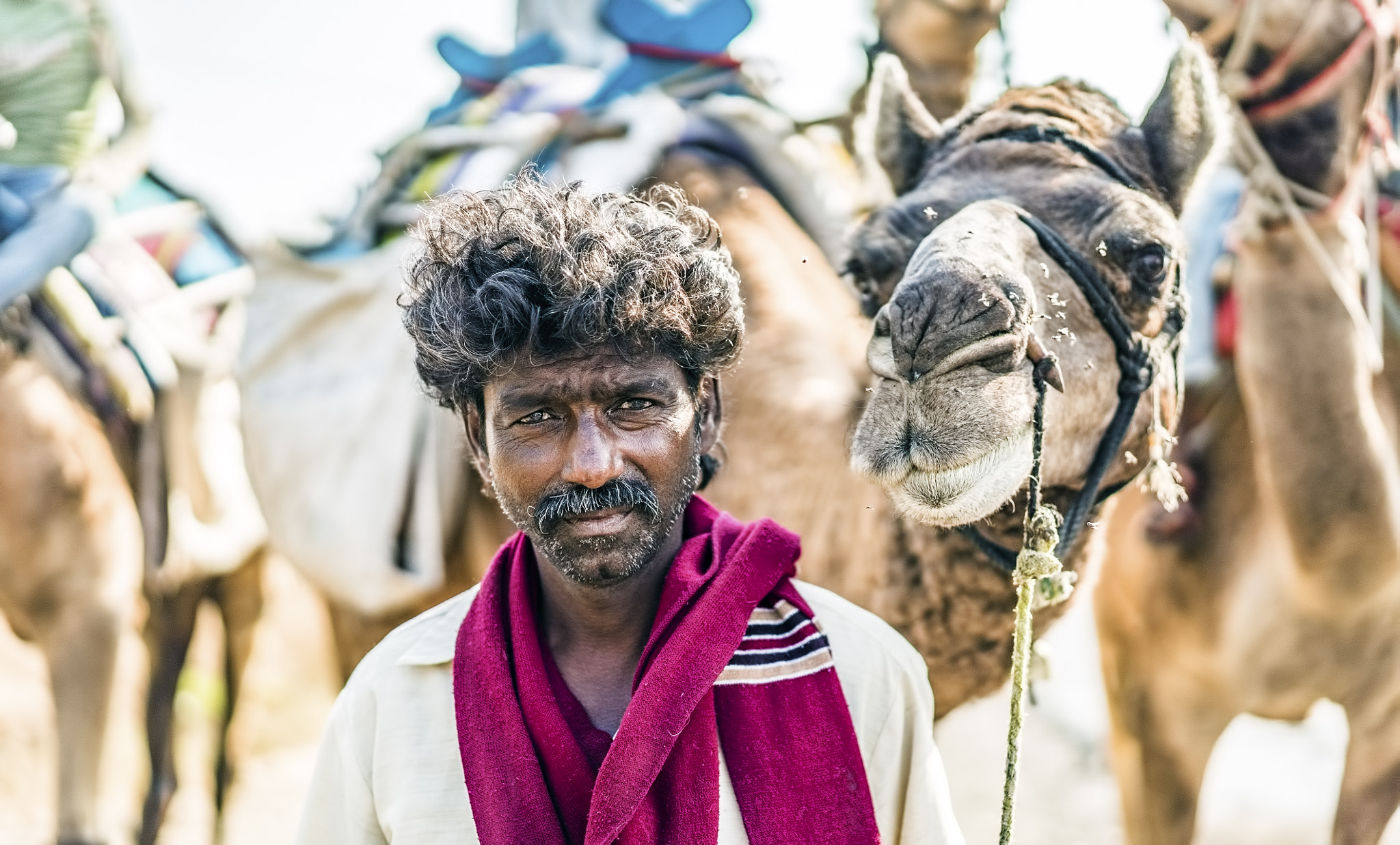 Sony a7S + Sony Sonnar T* FE 55mm F1.8 ZA sample photo. Me and my camel photography