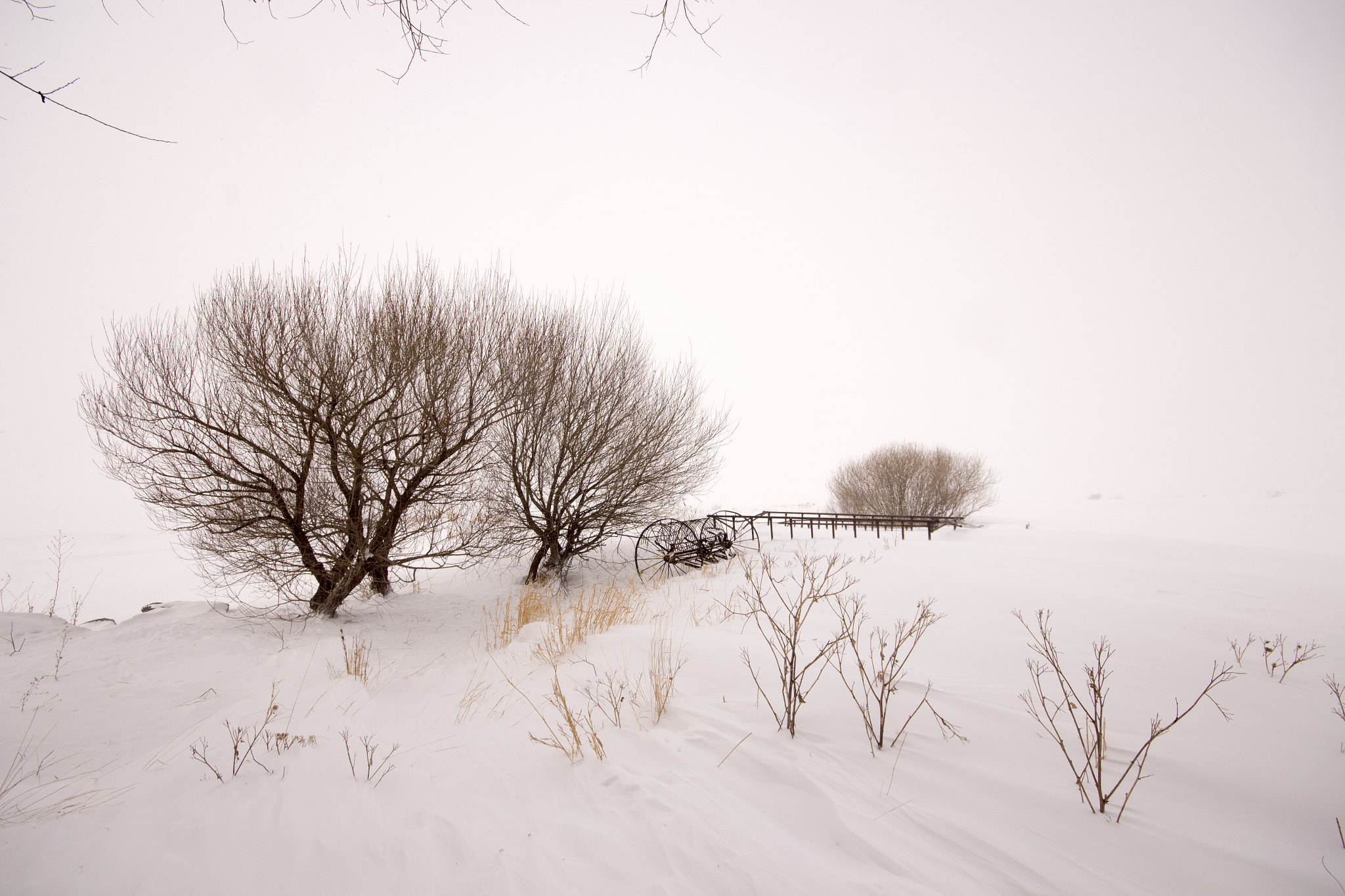 Canon EOS 650D (EOS Rebel T4i / EOS Kiss X6i) + Sigma 10-20mm F4-5.6 EX DC HSM sample photo. The beuty of snow photography