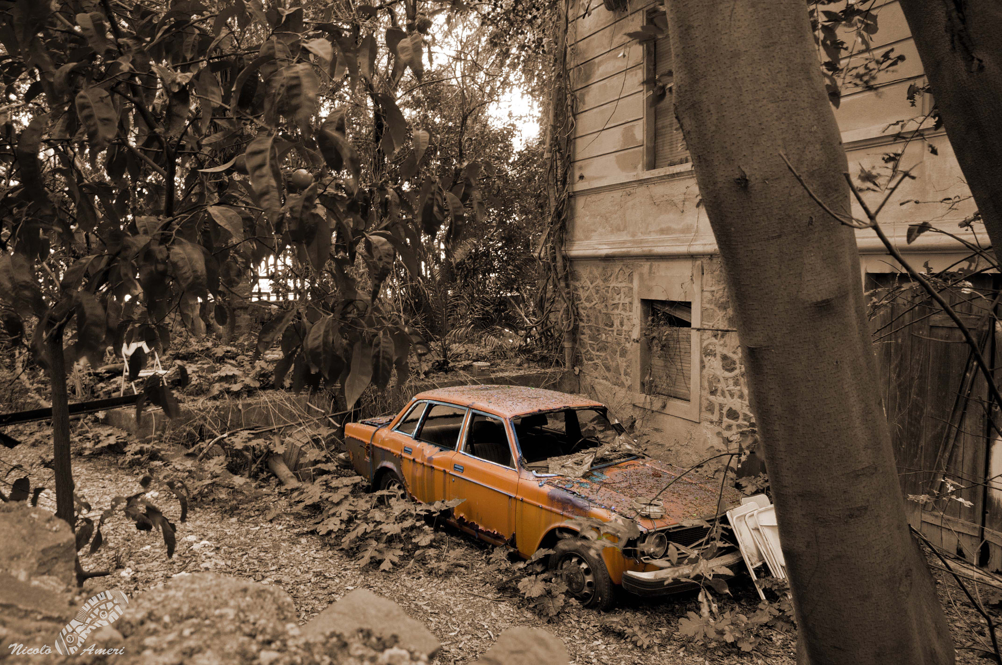 Nikon D90 sample photo. Orange car photography