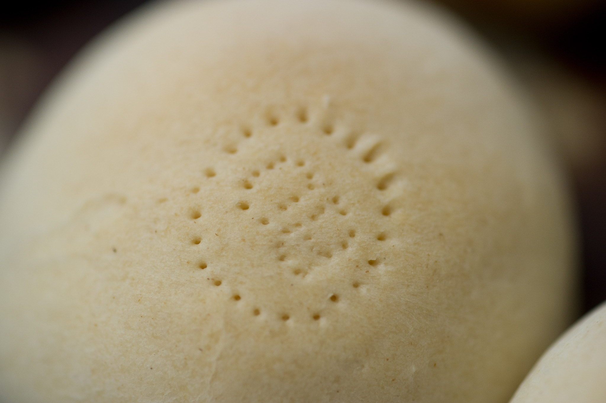 Nikon D3S sample photo. Fresh baked beaten biscuit photography