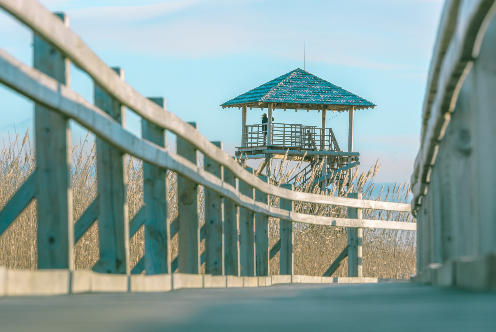 Nikon D5200 + Nikon AF-S Nikkor 70-200mm F2.8G ED VR II sample photo. Bird watching tower on a lake with wooden trail photography