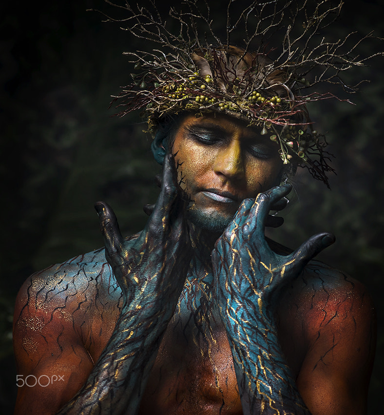 Nikon D4 + Sigma 85mm F1.4 EX DG HSM sample photo. The forest king photography