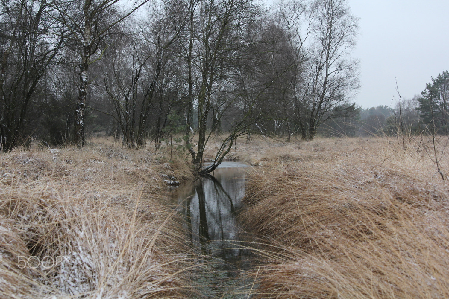 Canon EOS 60D sample photo. Buurserzand photography