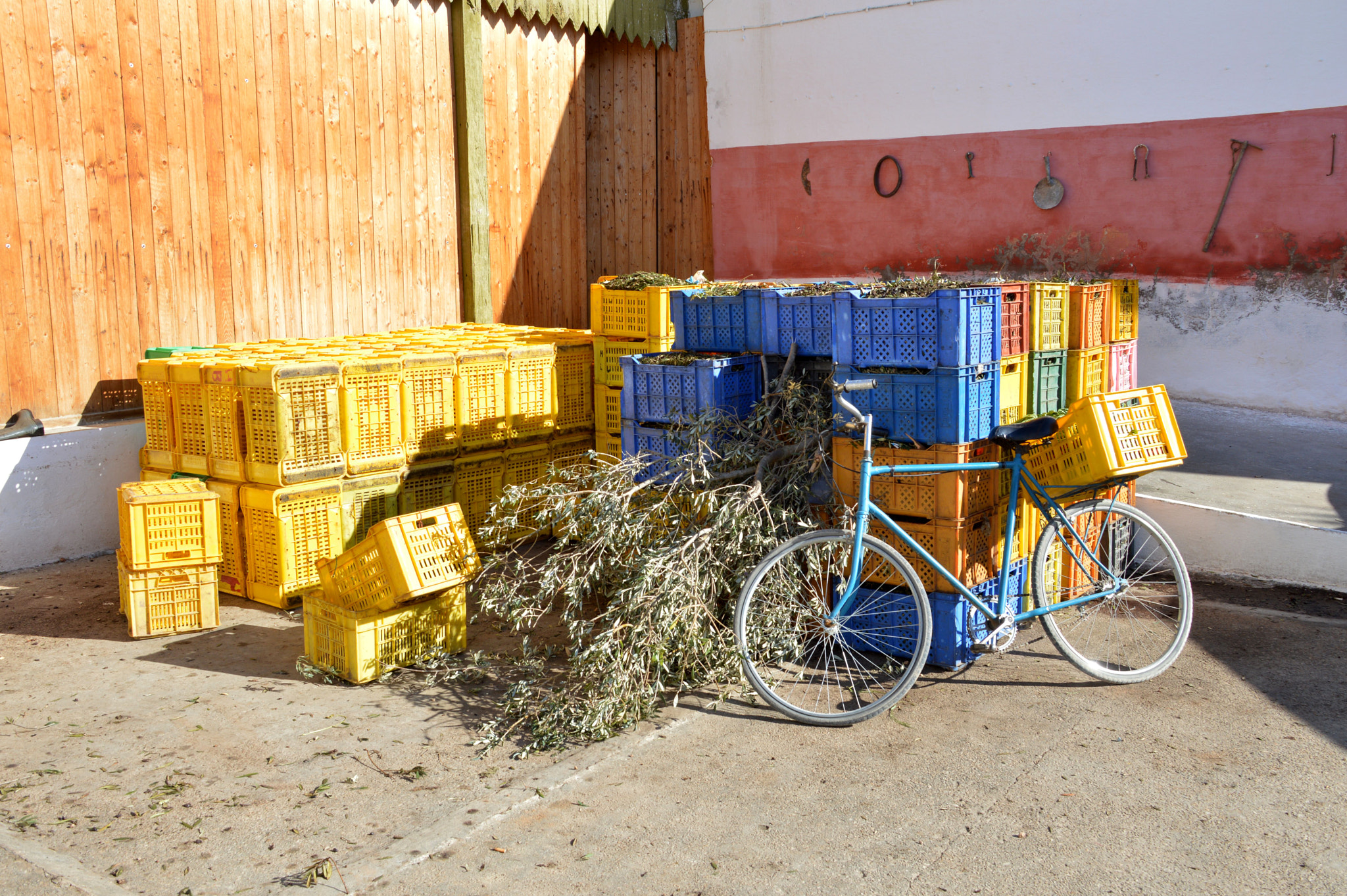 Nikon D3200 sample photo. Coulours photography