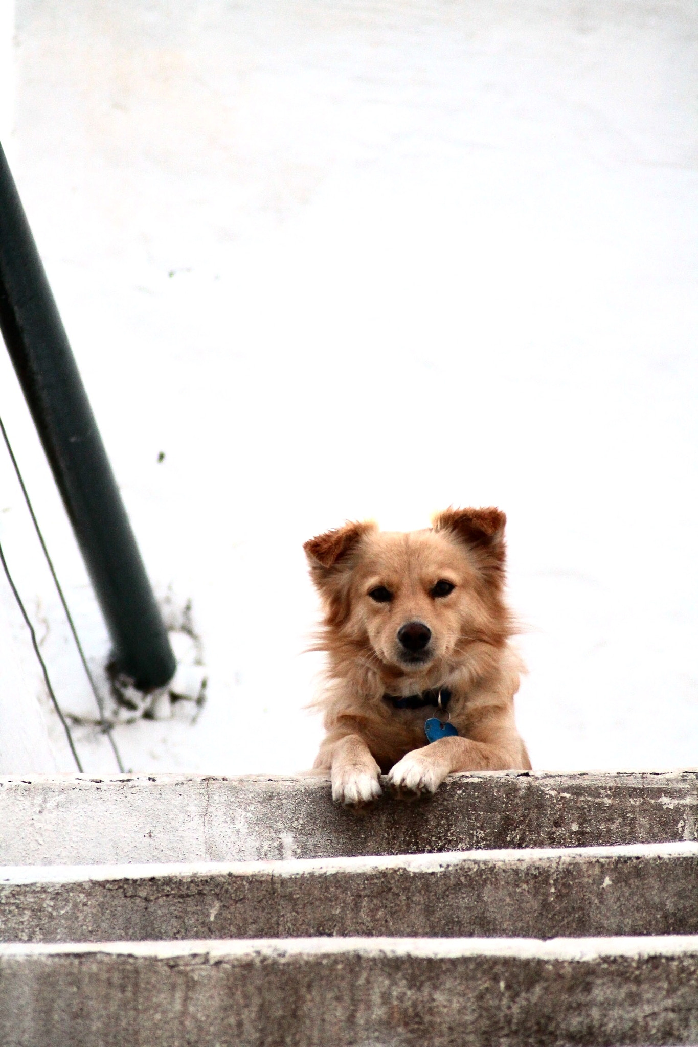Canon EOS 1100D (EOS Rebel T3 / EOS Kiss X50) sample photo. Lilo photography