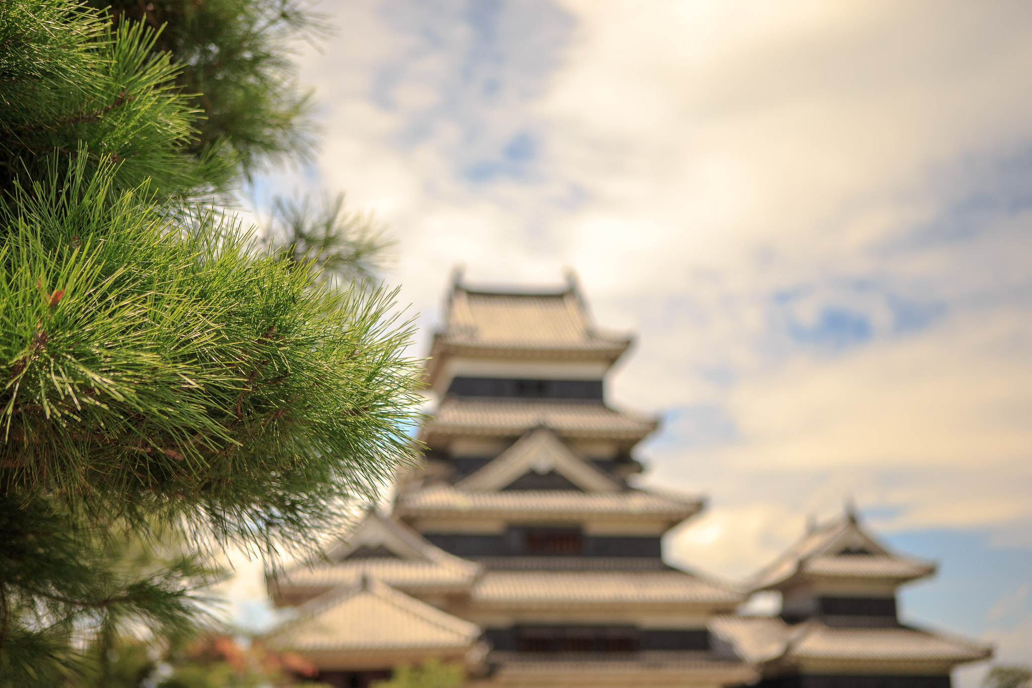 Canon EOS-1D X sample photo. Matsumoto japan photography