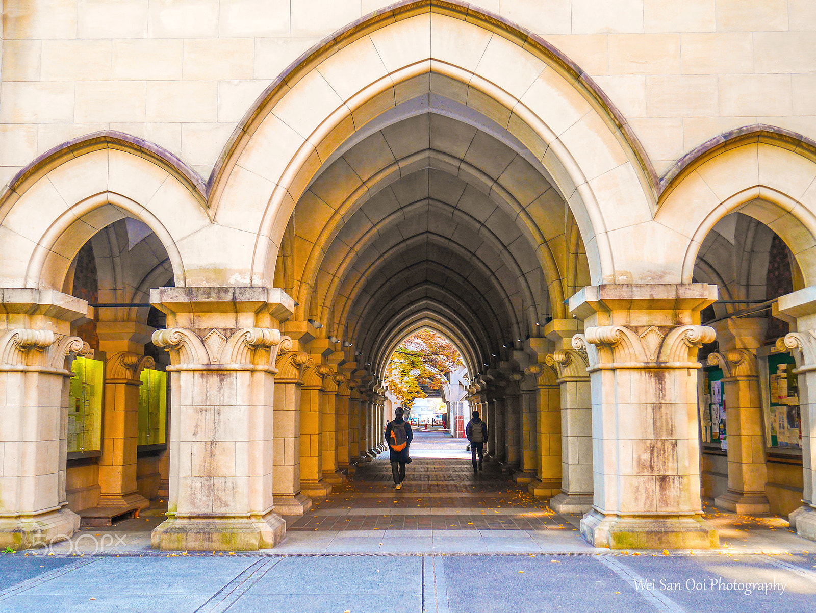 Panasonic Lumix DMC-GX7 sample photo. University of tokyo 11 photography