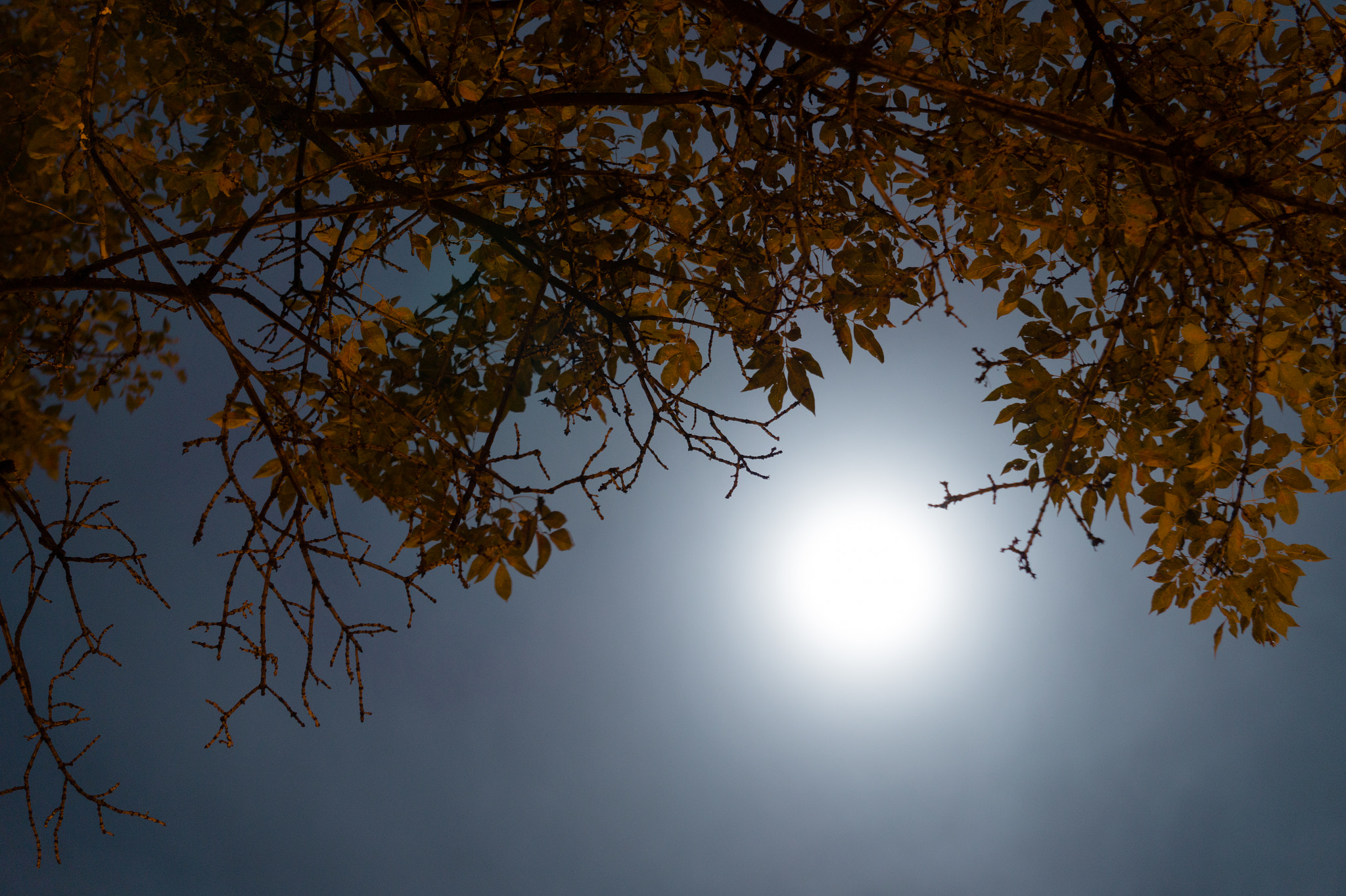 Sony Alpha a3000 sample photo. Full moon photography