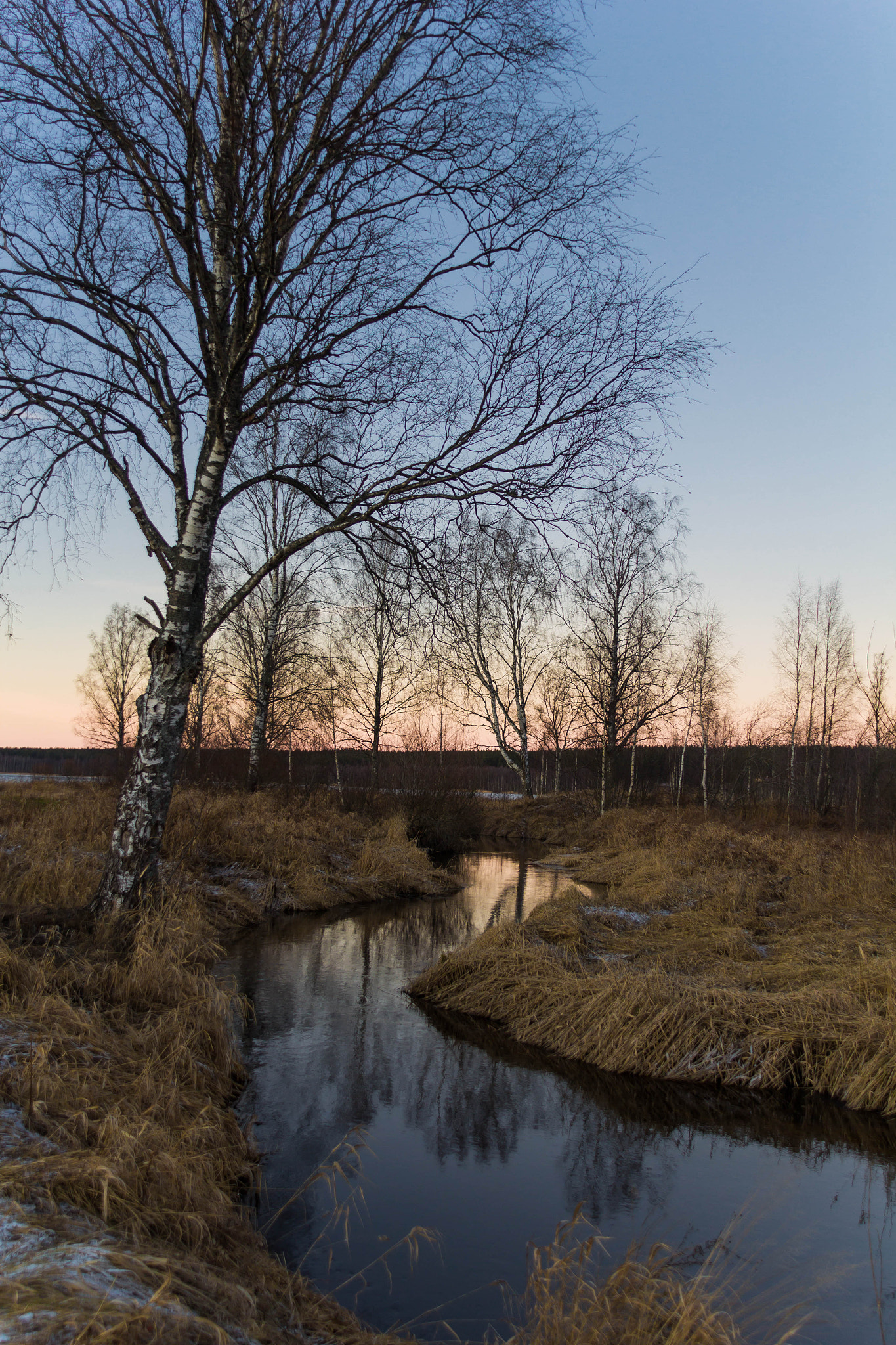 Sigma 18-200mm f/3.5-6.3 DC OS sample photo. Winter photography
