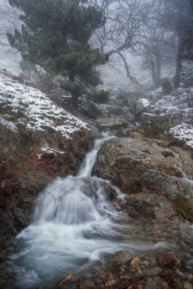 Sigma 18-125mm F3.8-5.6 DC OS HSM sample photo. Rincones photography