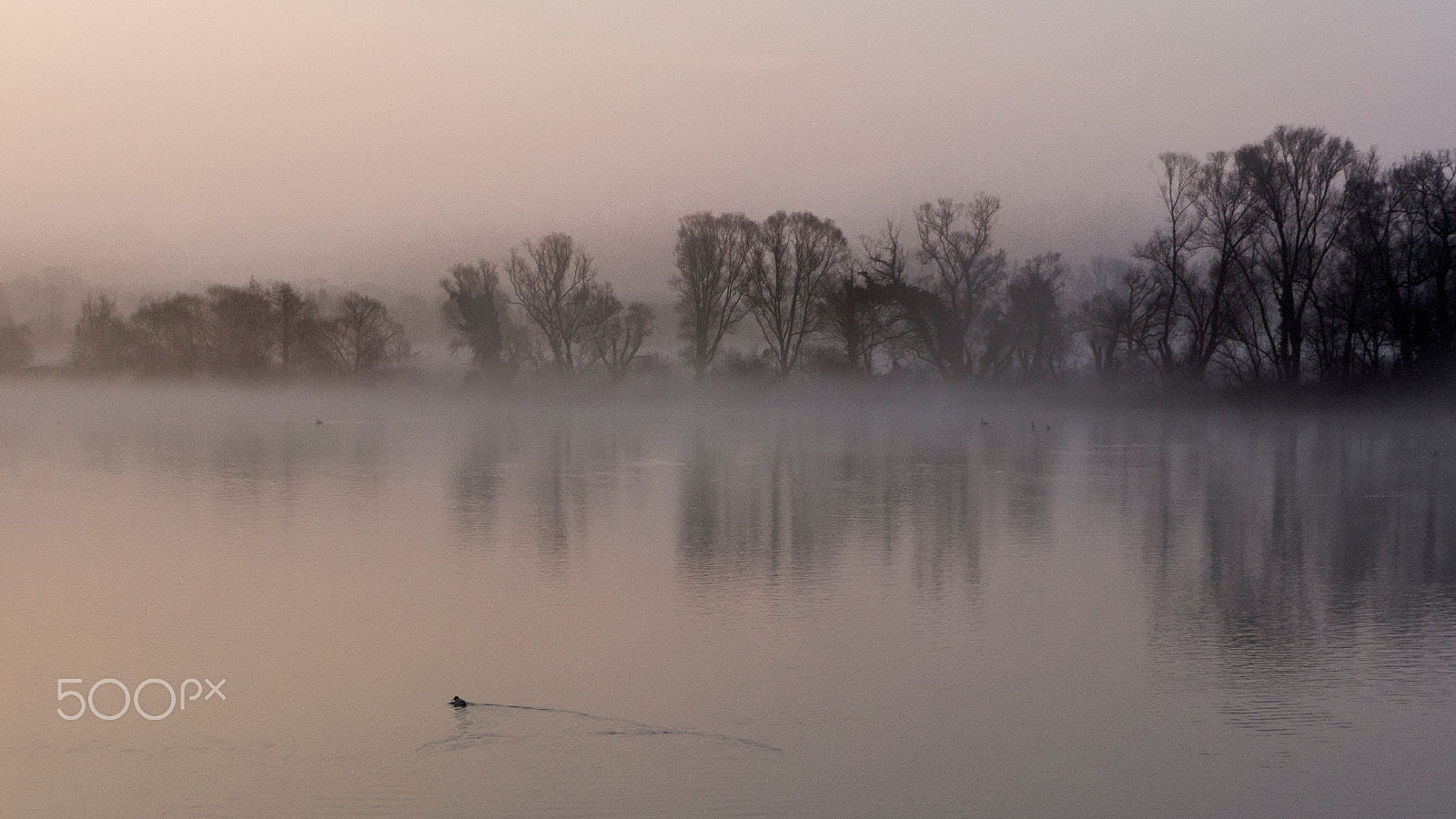 Sony DT 16-105mm F3.5-5.6 sample photo. Fog / nebel photography