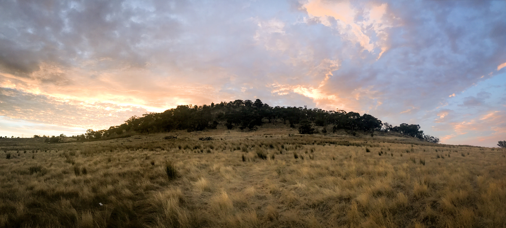 iPhone 7 Plus back camera 3.99mm f/1.8 sample photo. Dawn at rainbow serpent festival, australia 2017 photography