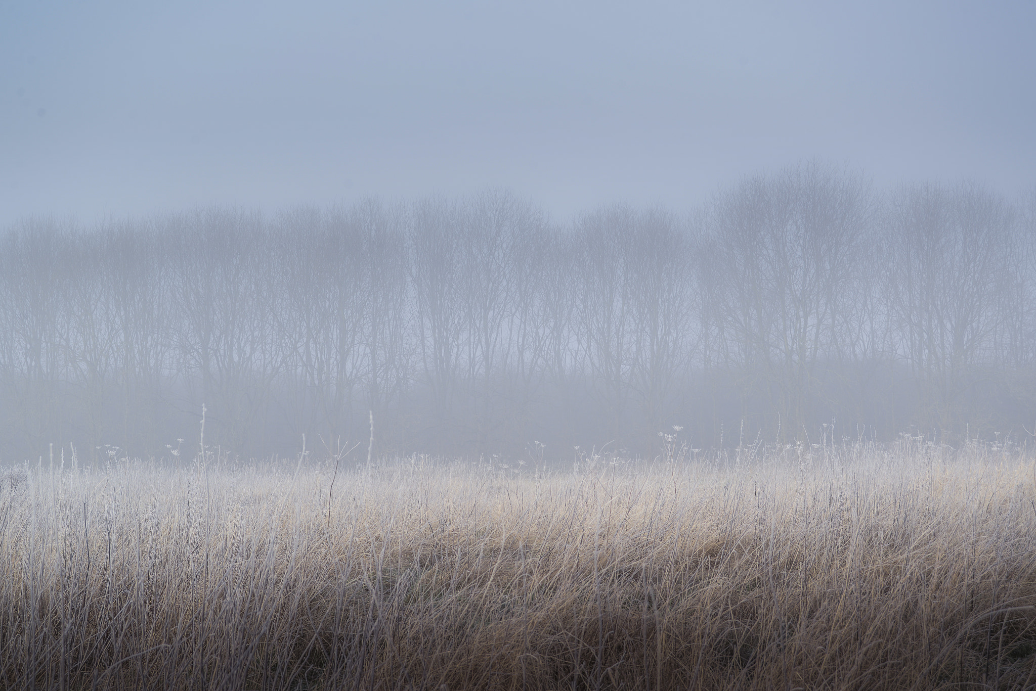 AF Zoom-Nikkor 28-80mm f/3.3-5.6G sample photo. Three lines photography